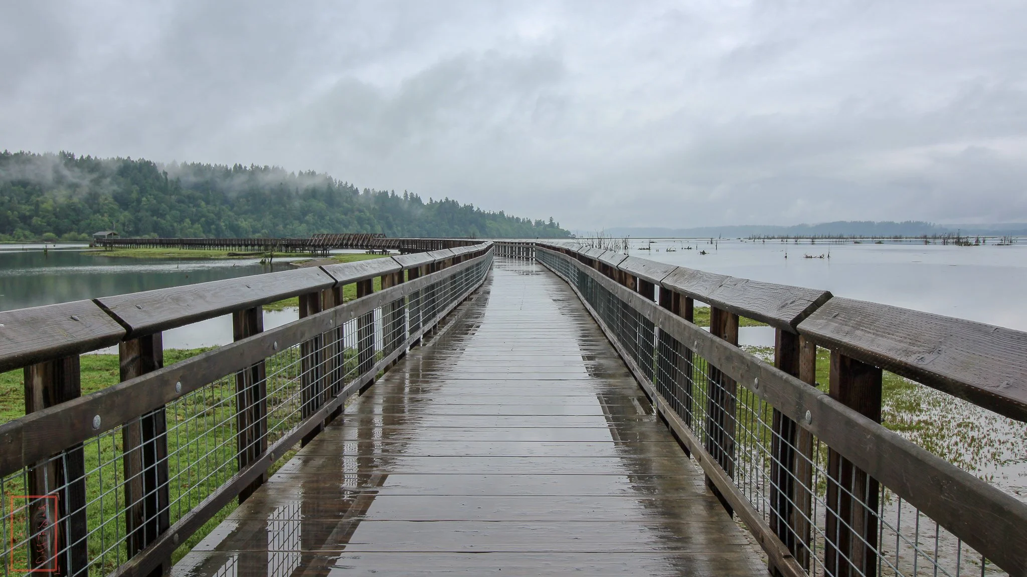 WA: Billy Frank Jr. Nisqually National Wildlife Refuge