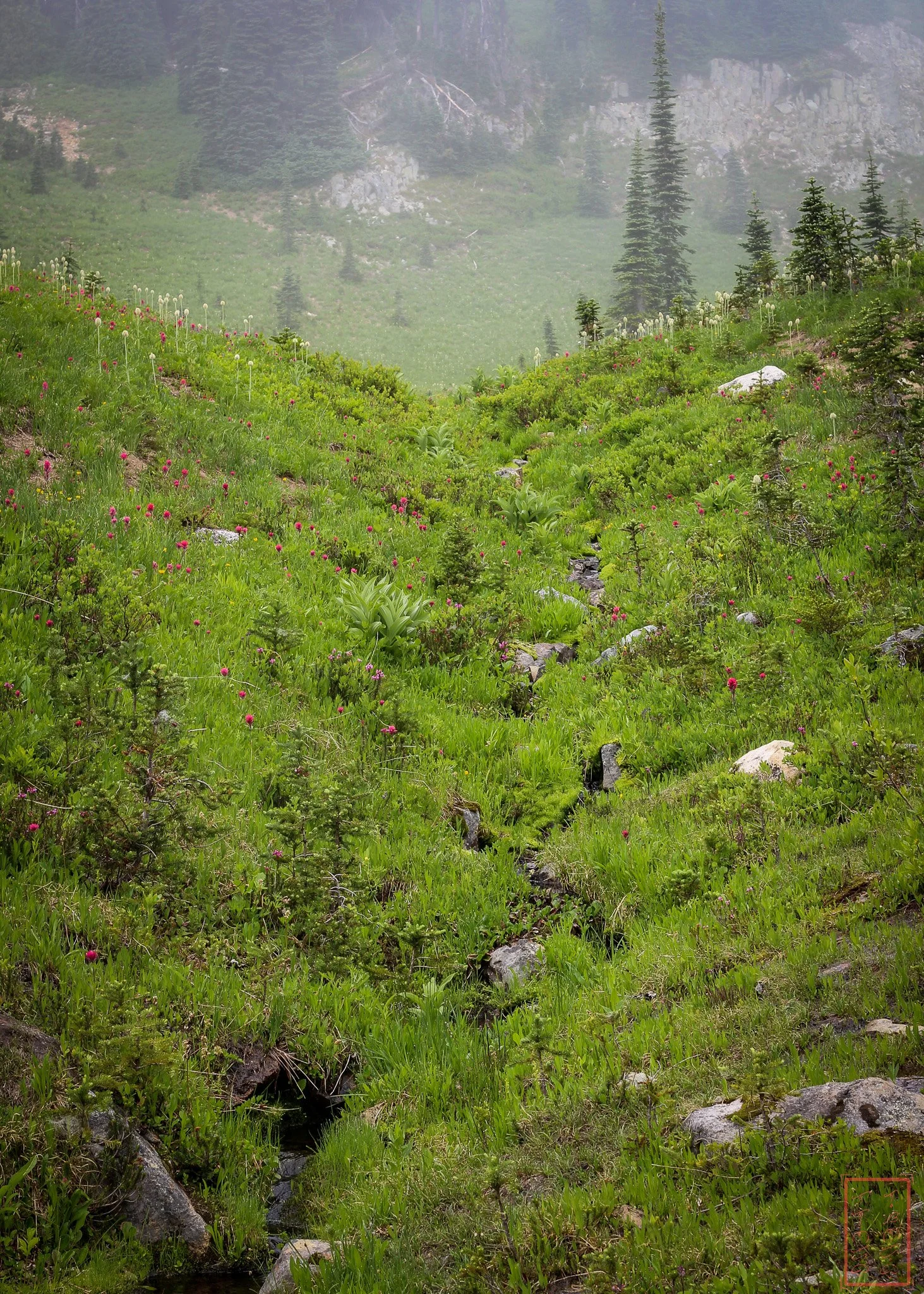 WA: Naches Peak Loop