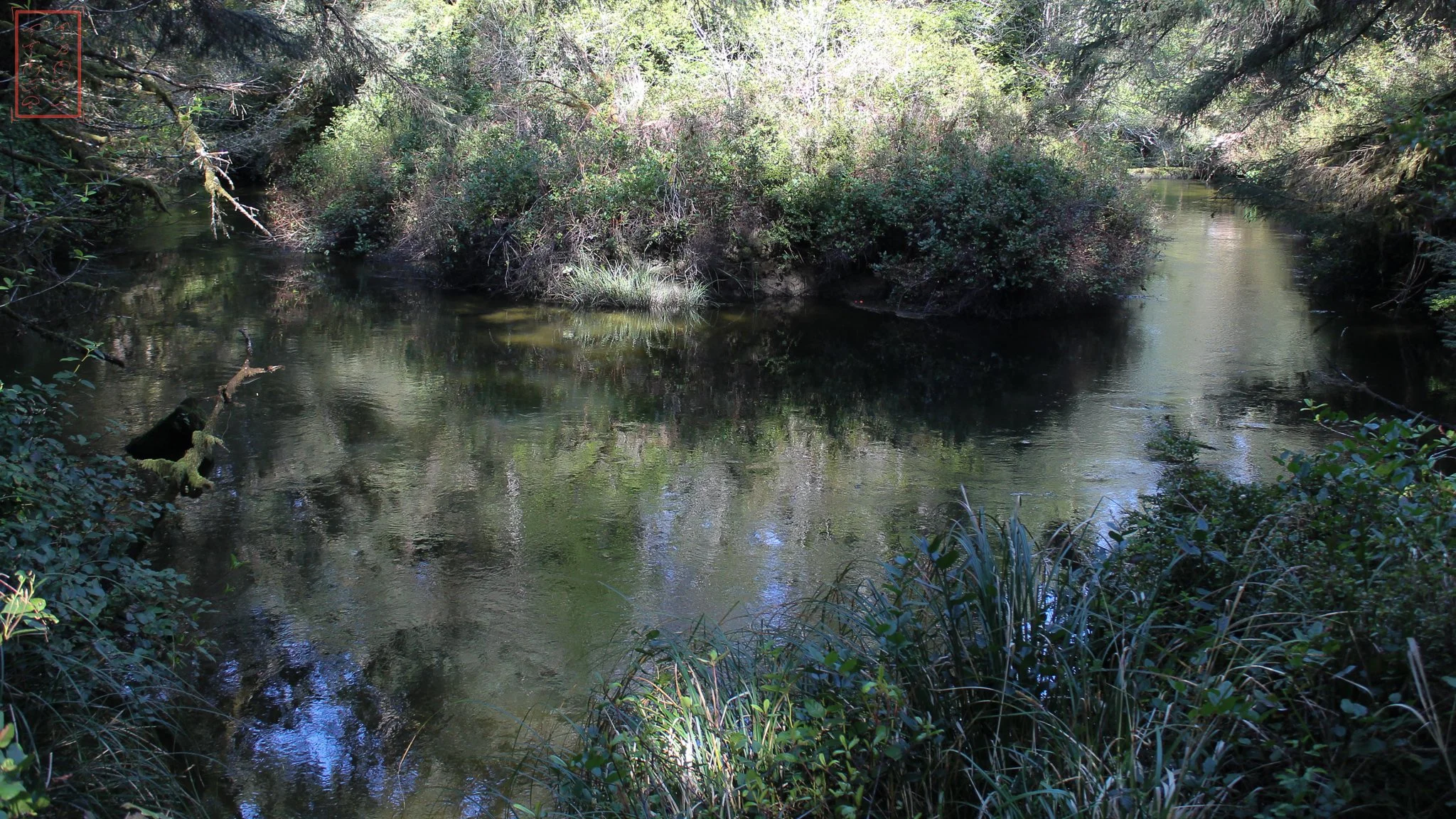 OR: Sutton Creek