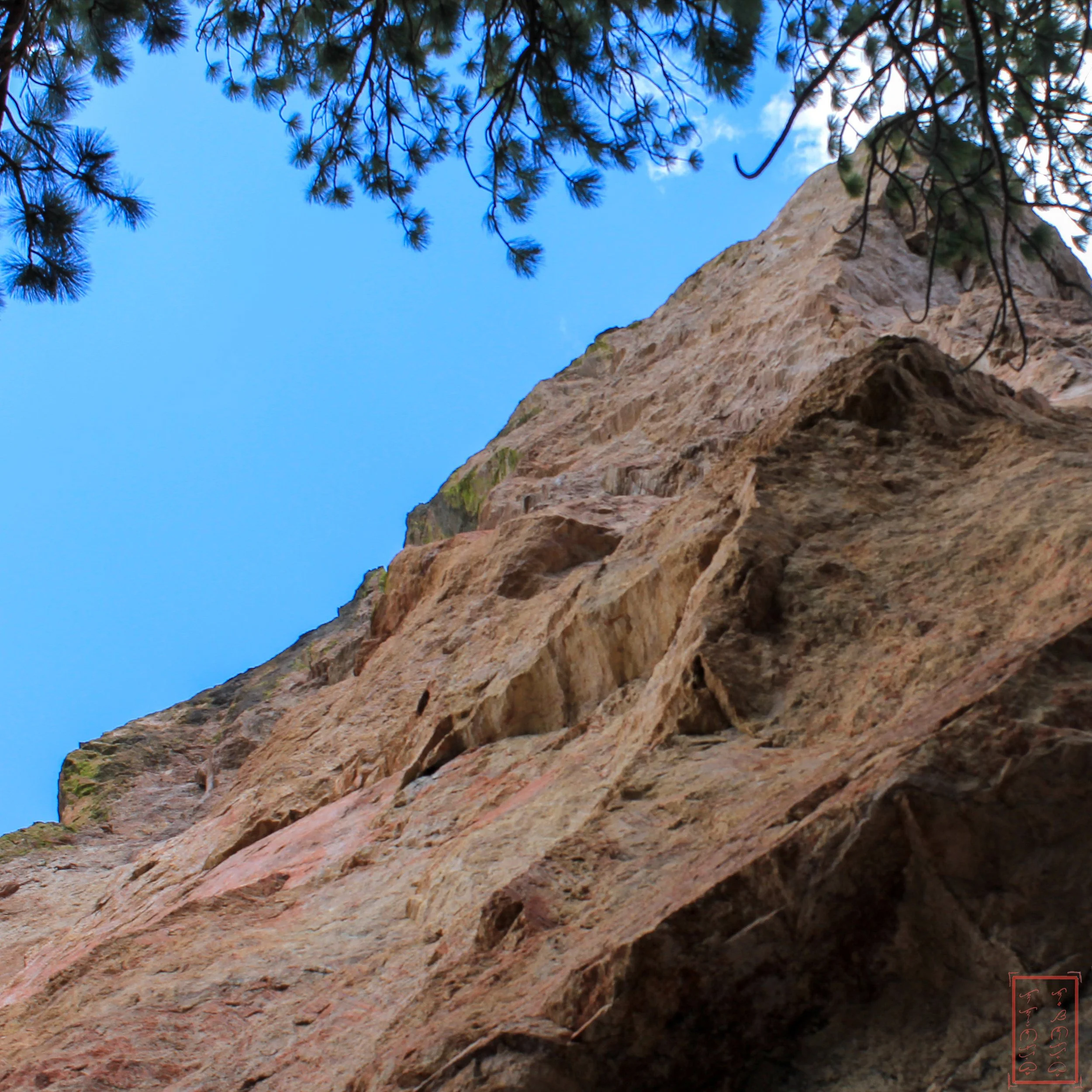 OR: Ochoco National Forest