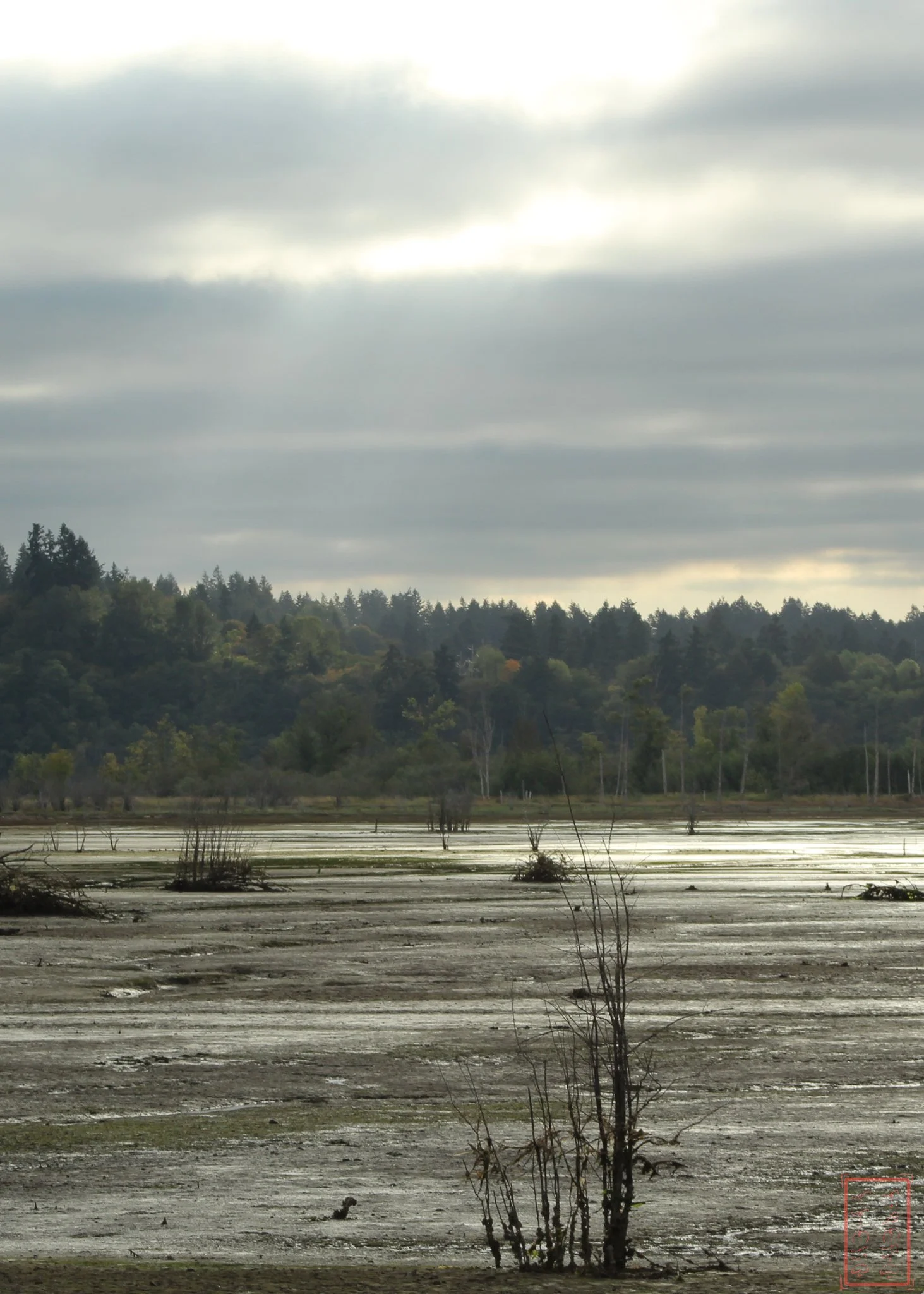 WA: Billy Frank Jr. Nisqually National Wildlife Refuge