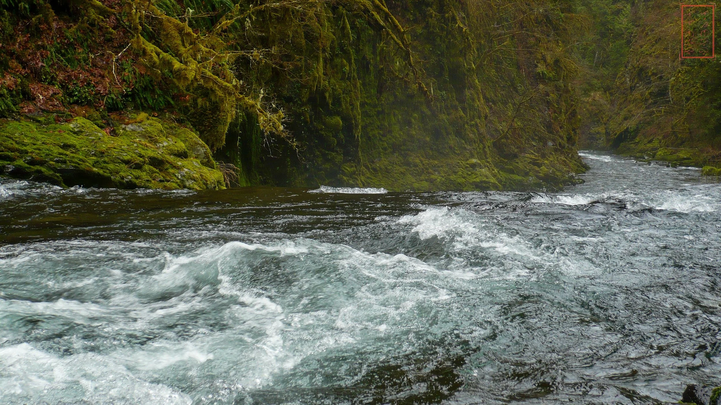 OR: Eagle Creek