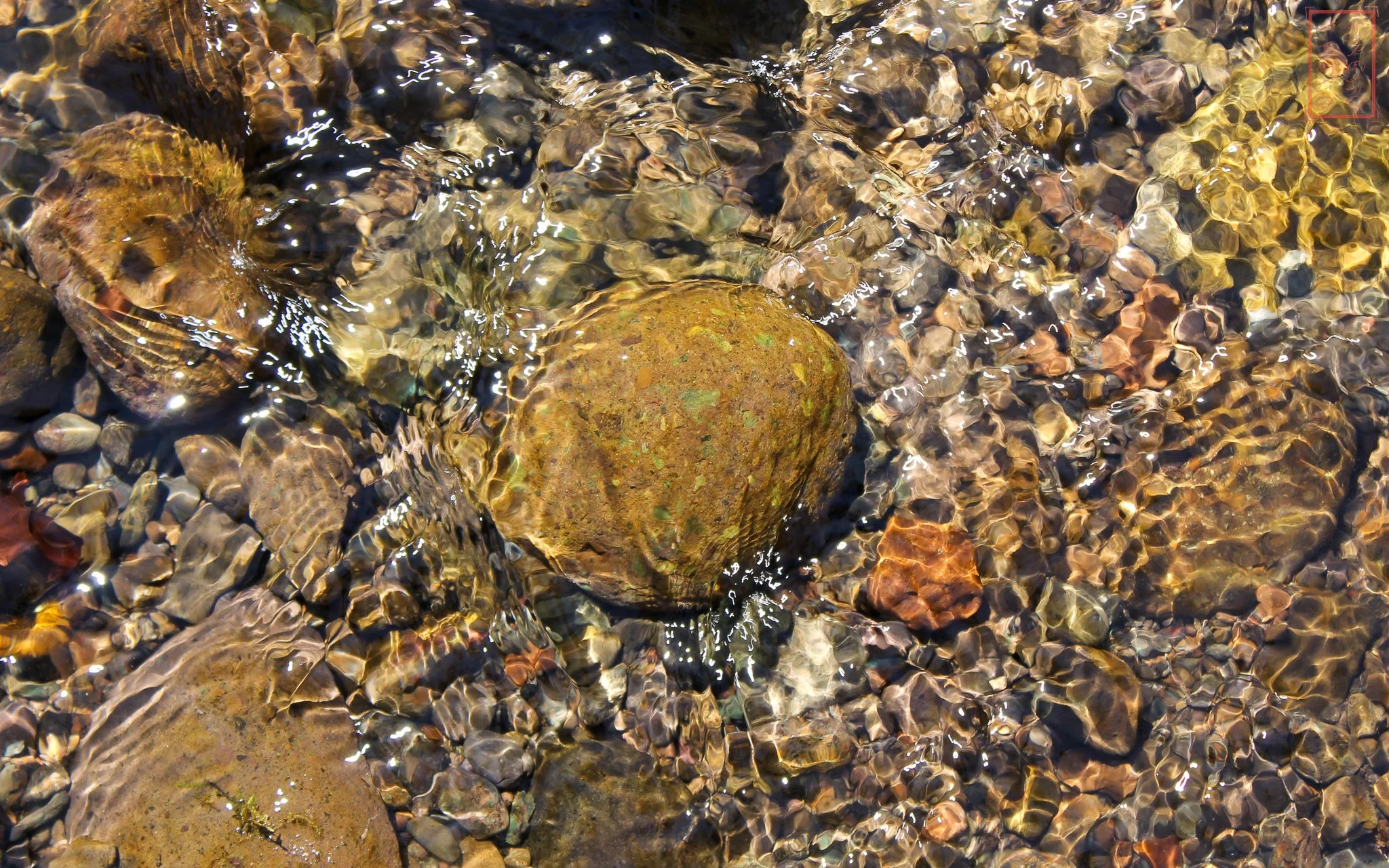 WA: Panther Creek