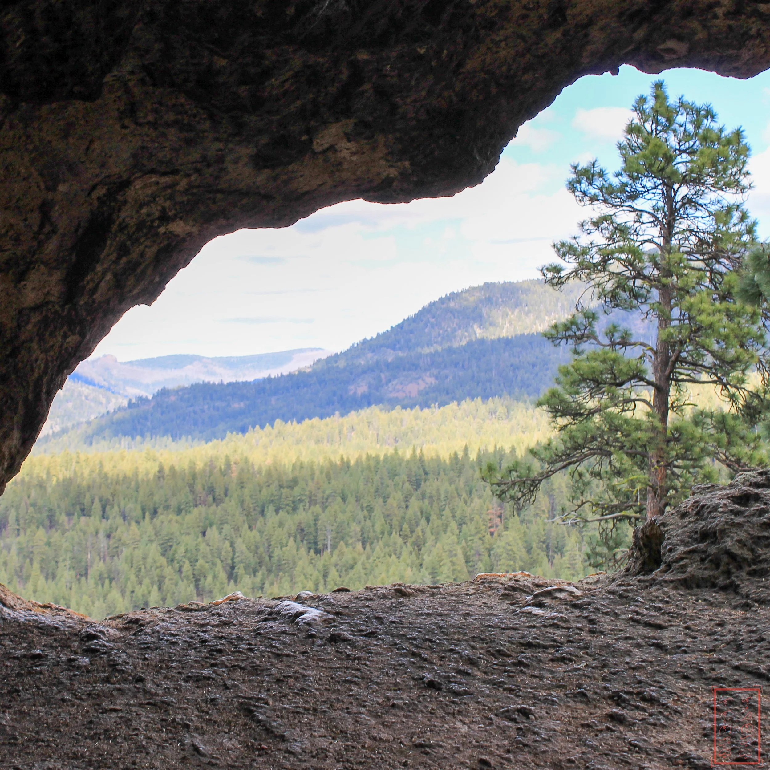 OR: Ochoco National Forest
