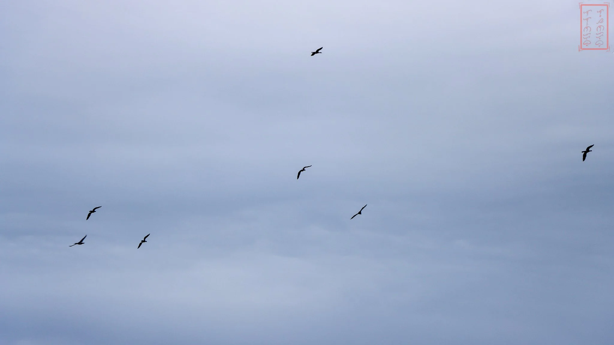 WA: Cape Disappointment