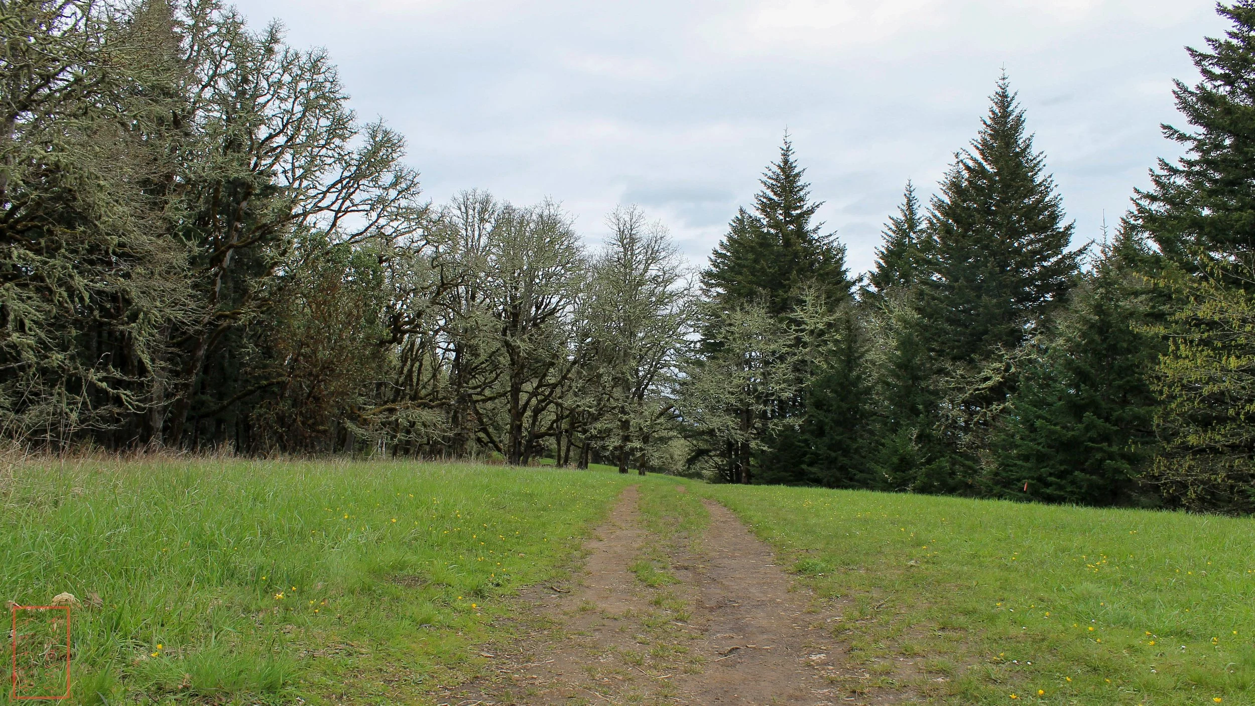 OR: Chip Ross Park and Dimple Hill