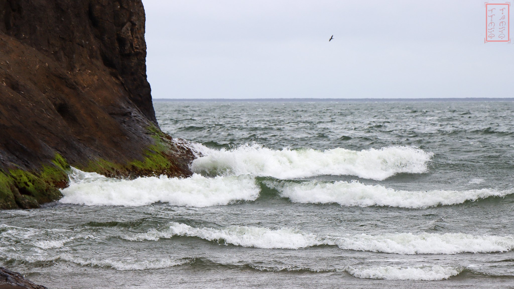 WA: Cape Disappointment