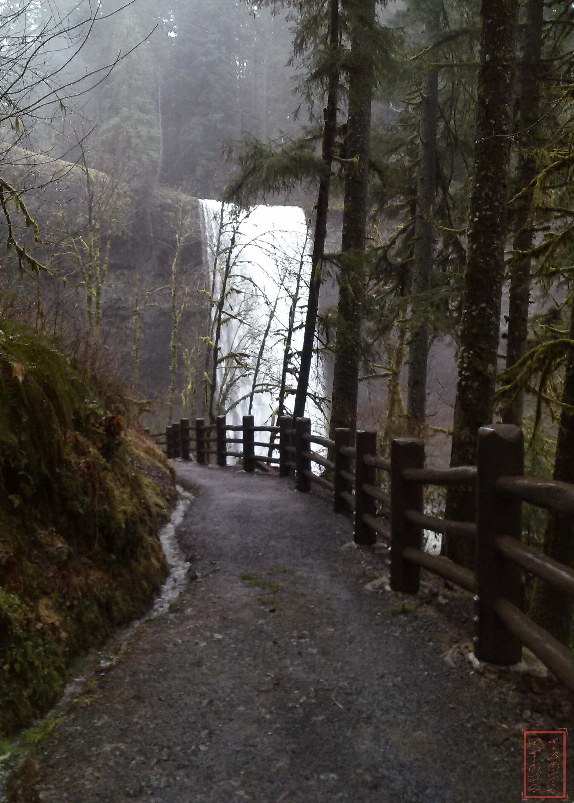 OR: Silver Falls
