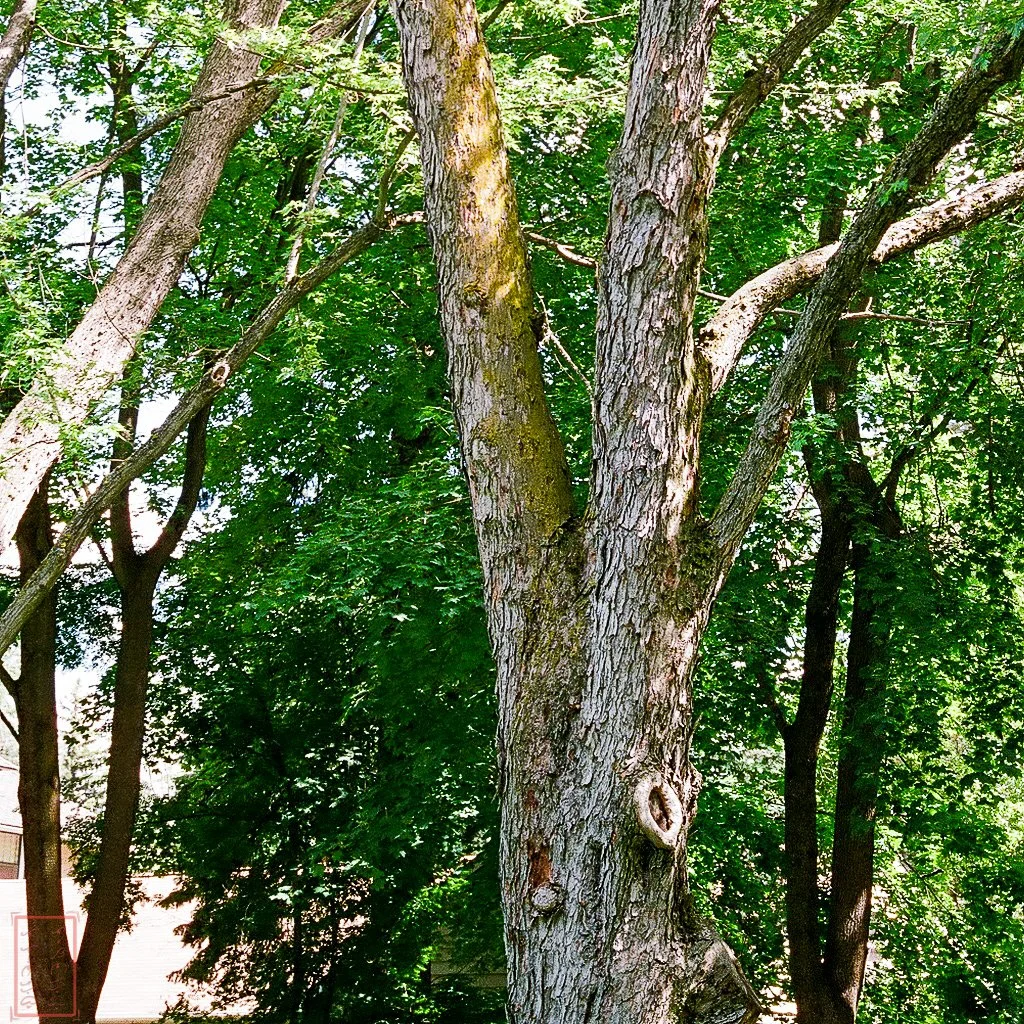 SPOKANE_1X1-3-2.jpg