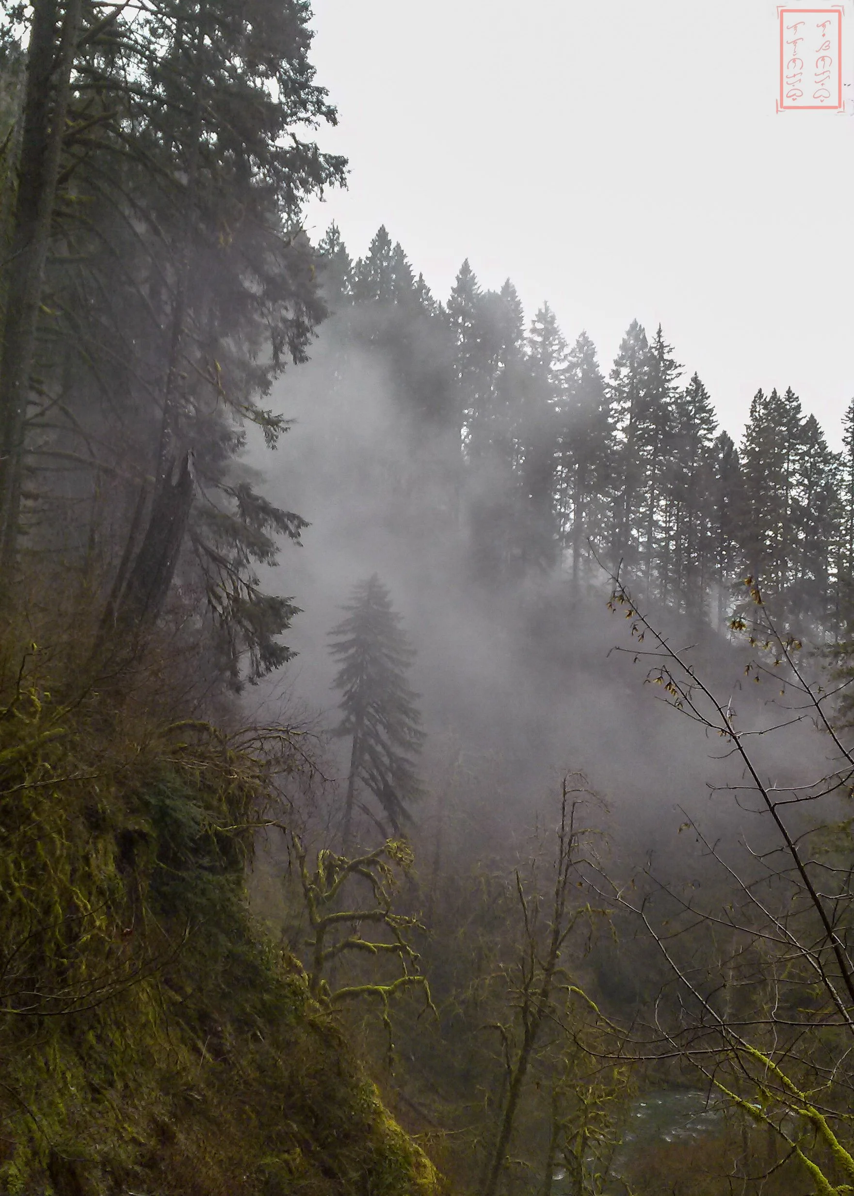 OR: Silver Falls