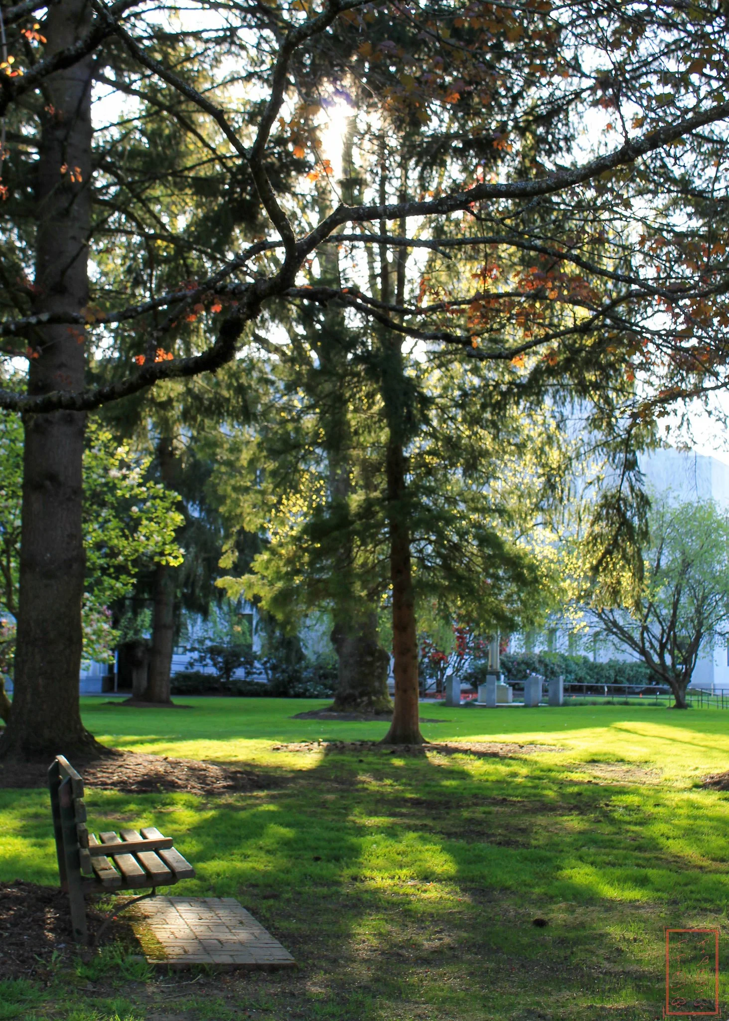 0_Salem_5x7-2-2.jpg