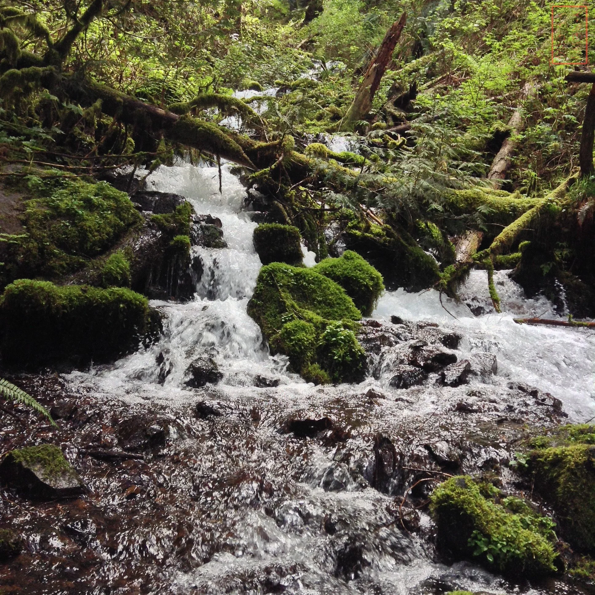 OR: Wahkeena Falls to Multnomah Falls