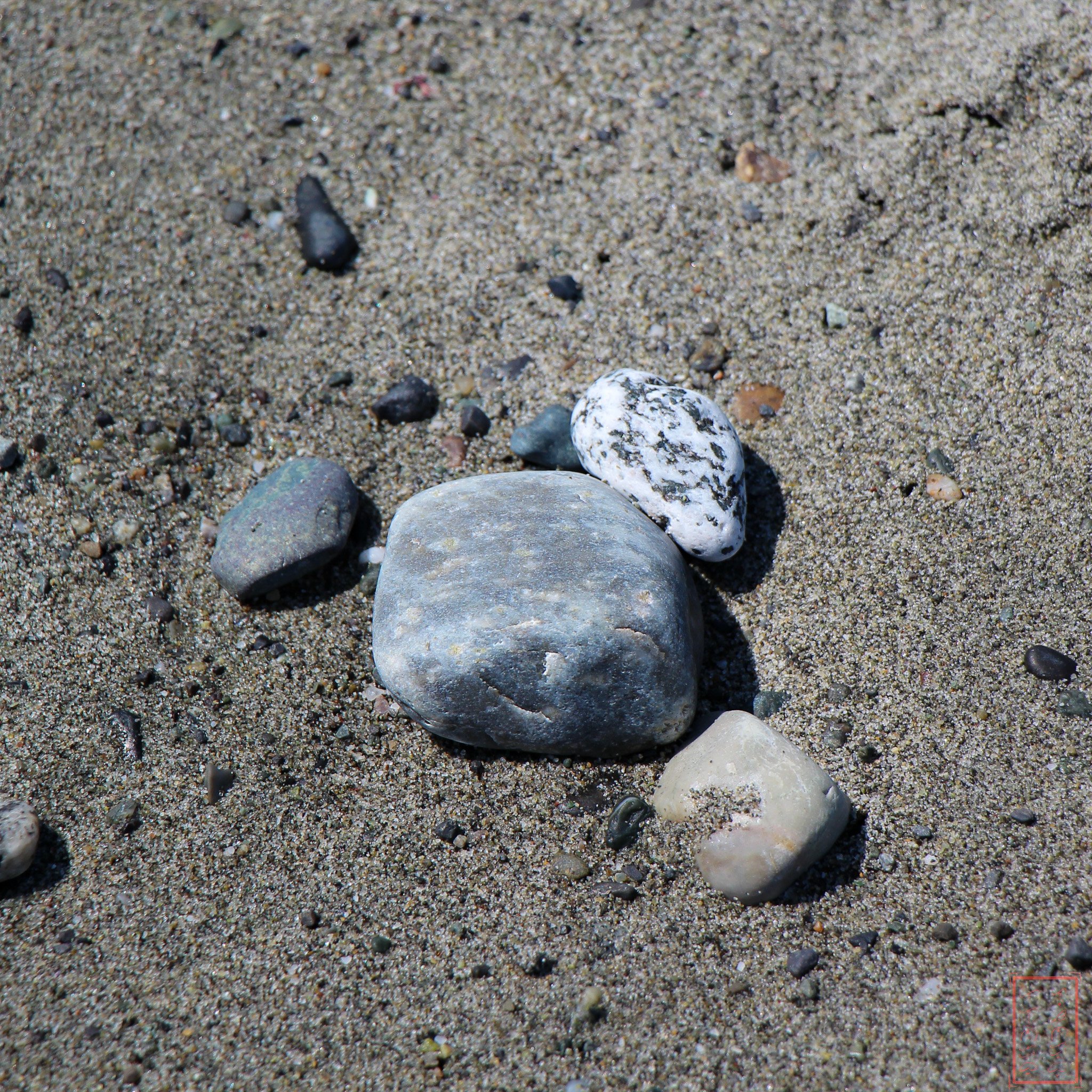 WA: Ebey's Landing