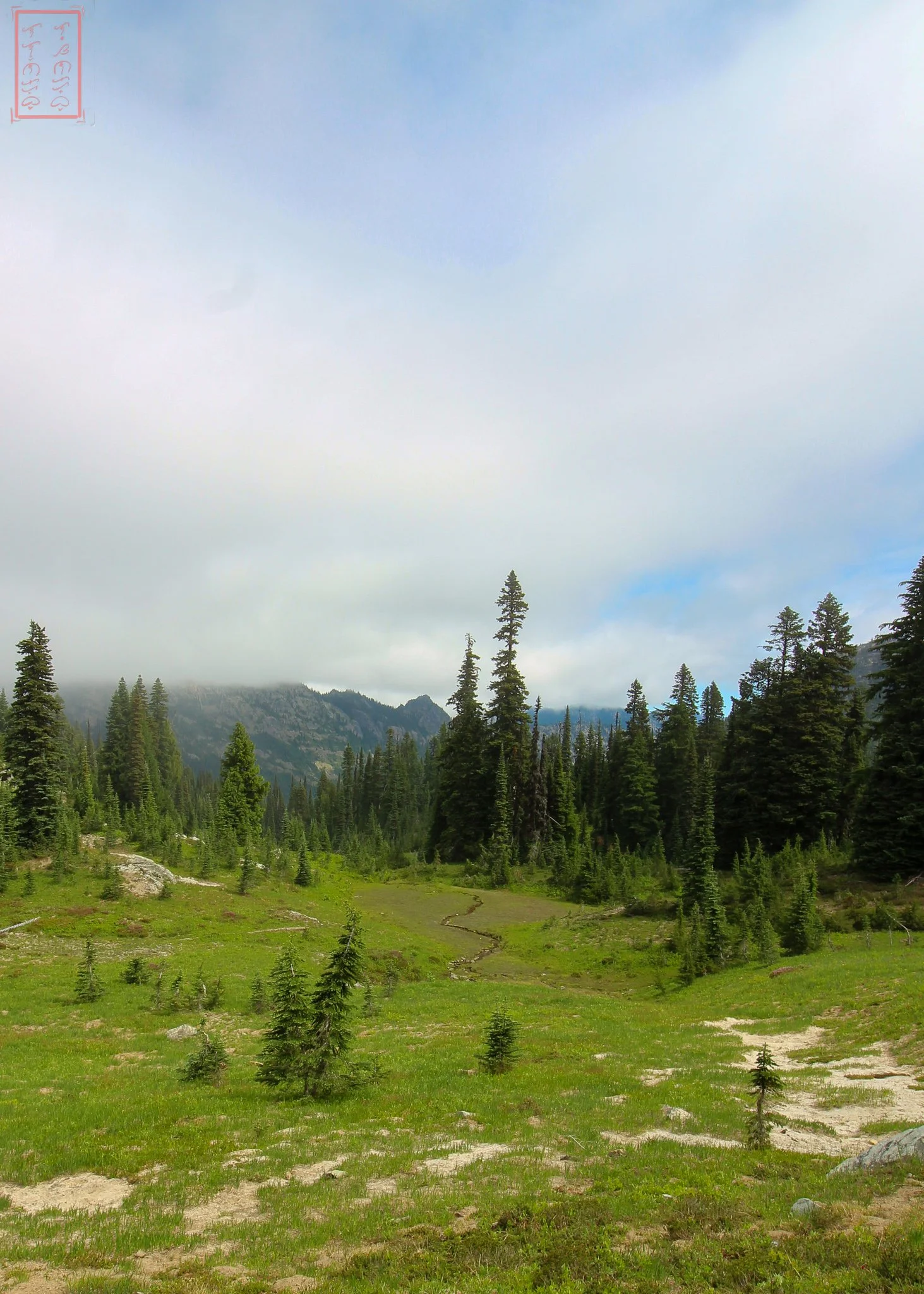 WA: Naches Peak Loop
