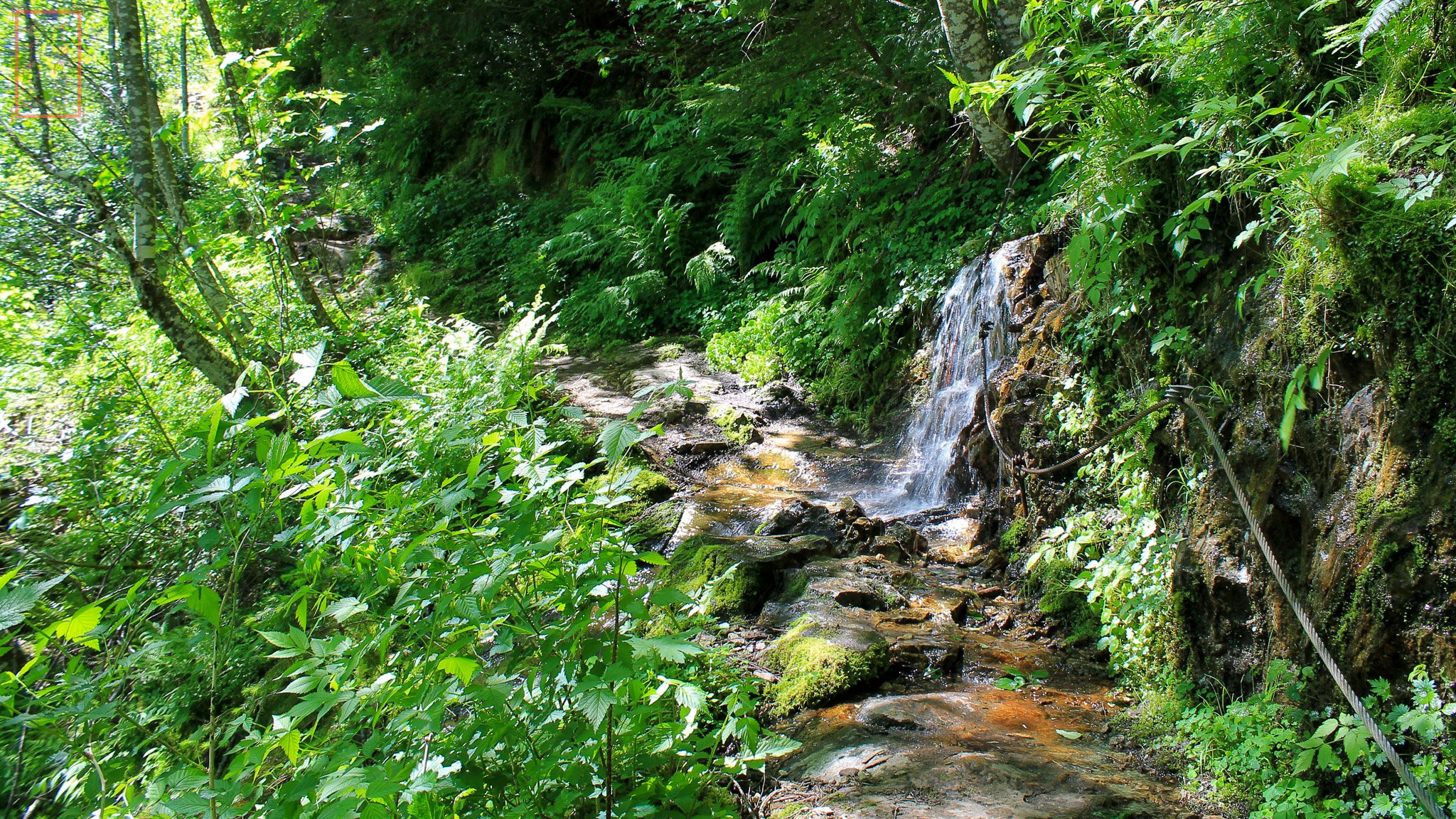 WA: Lava Canyon