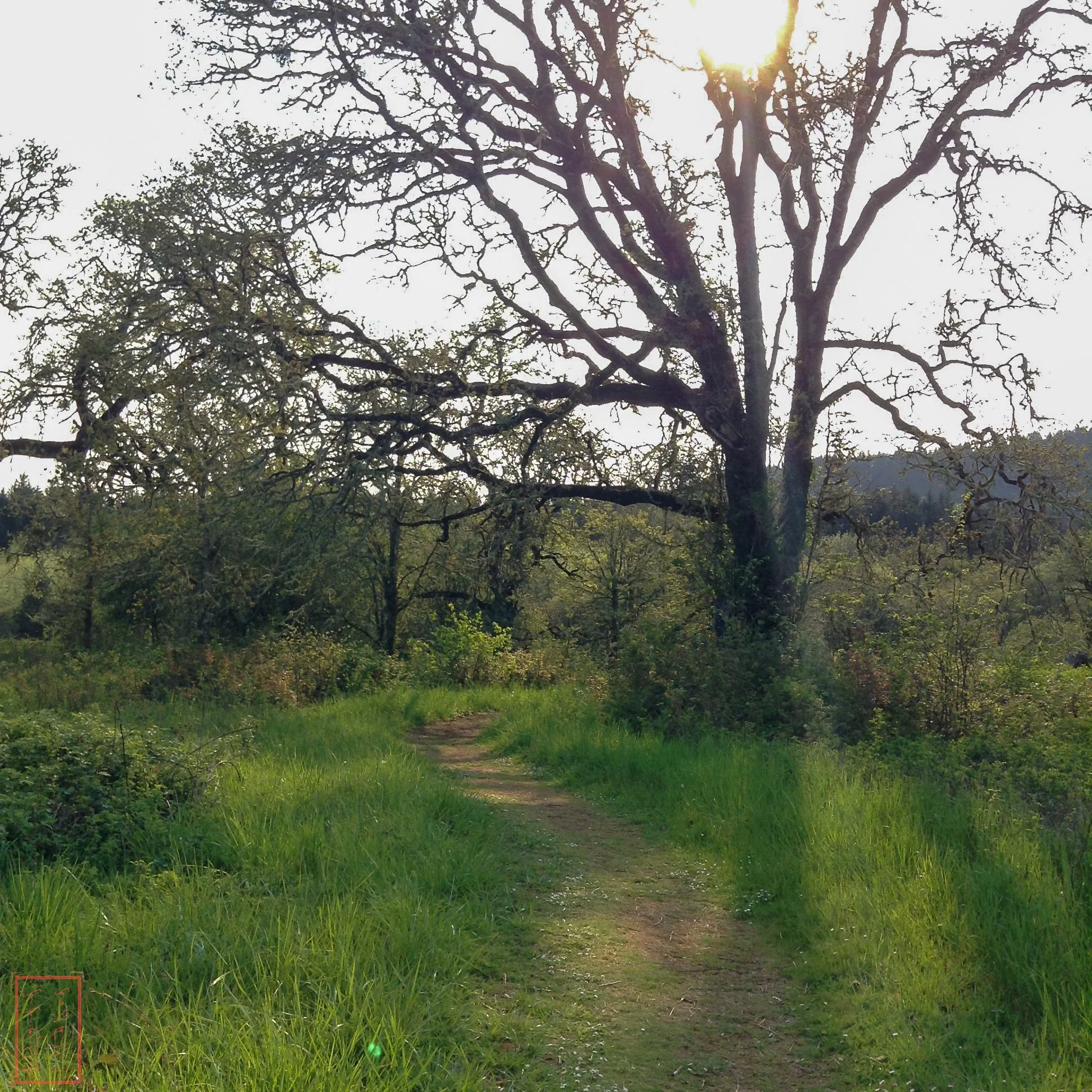 OR: William L. Finley National Wildlife Refuge