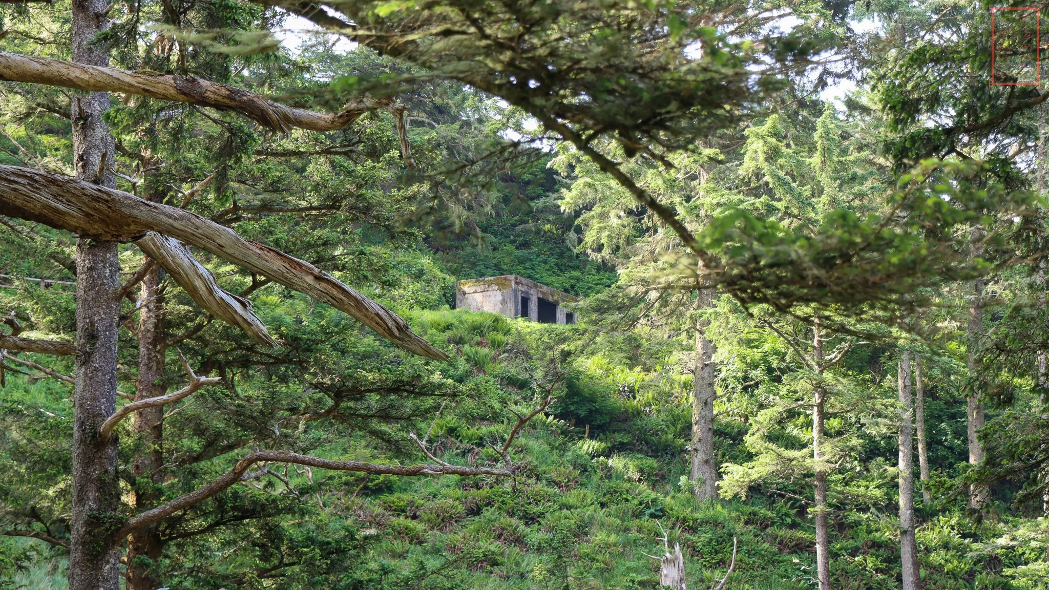 WA: Cape Disappointment