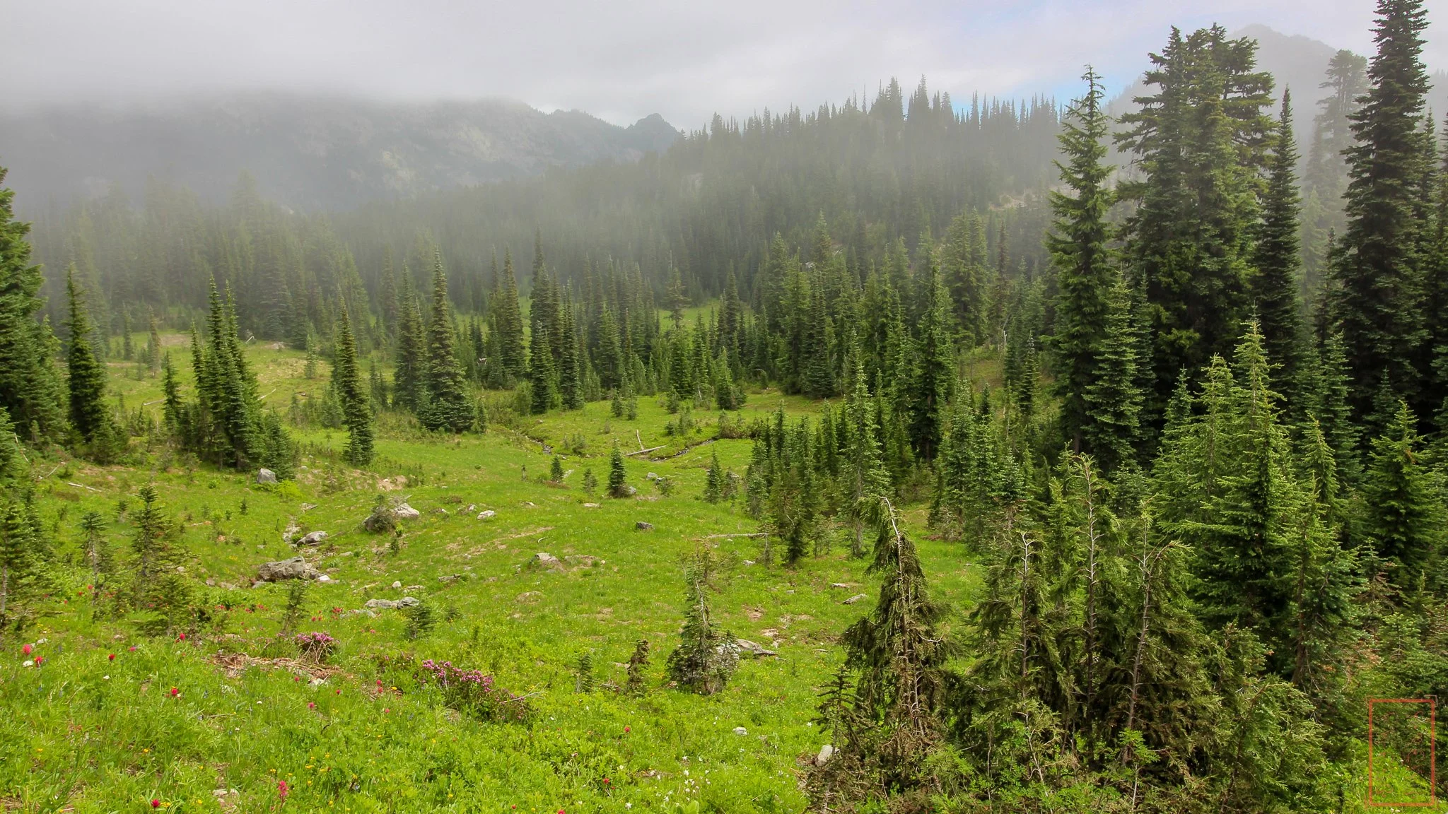 WA: Naches Peak Loop