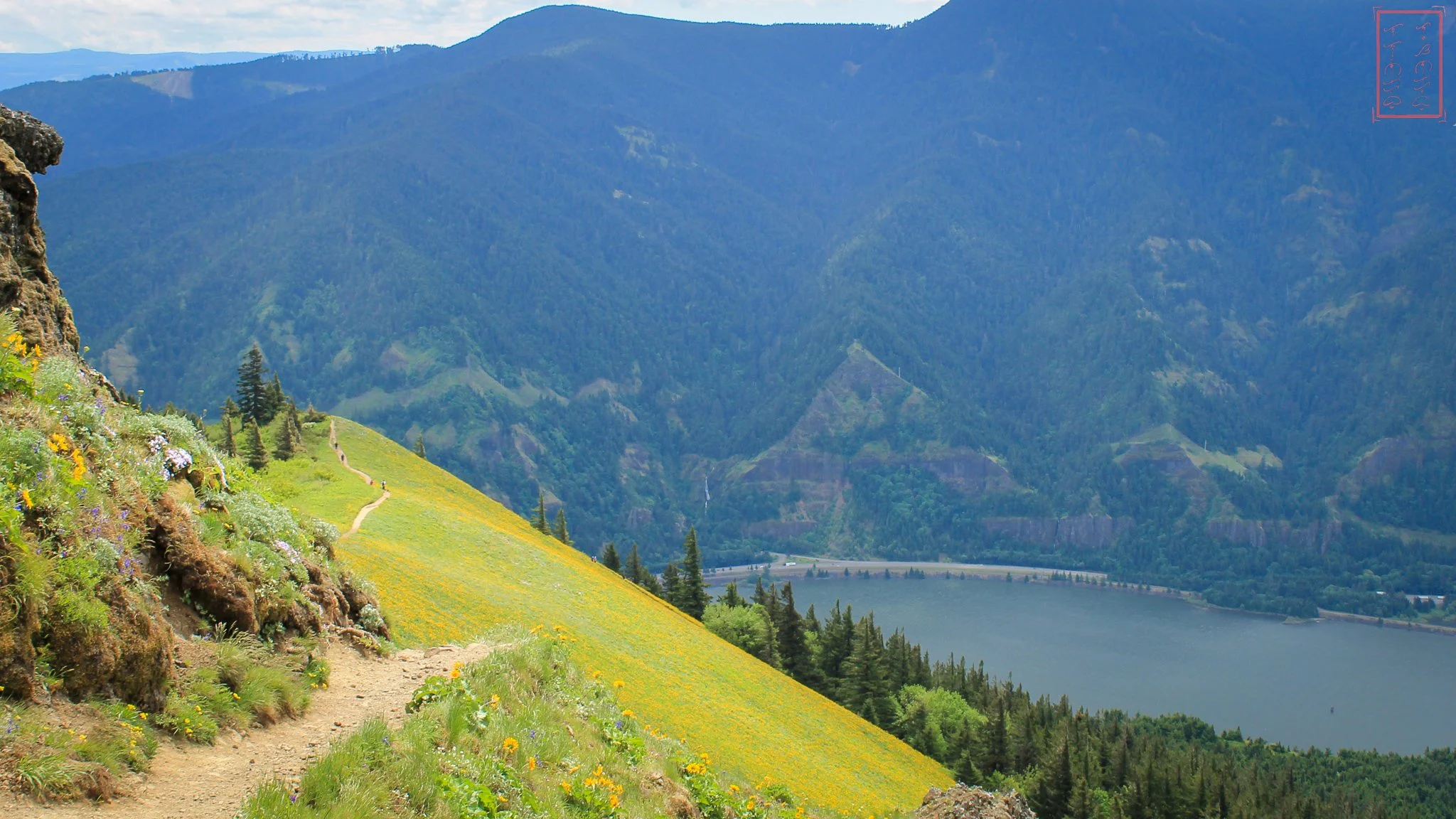 WA: Dog Mountain