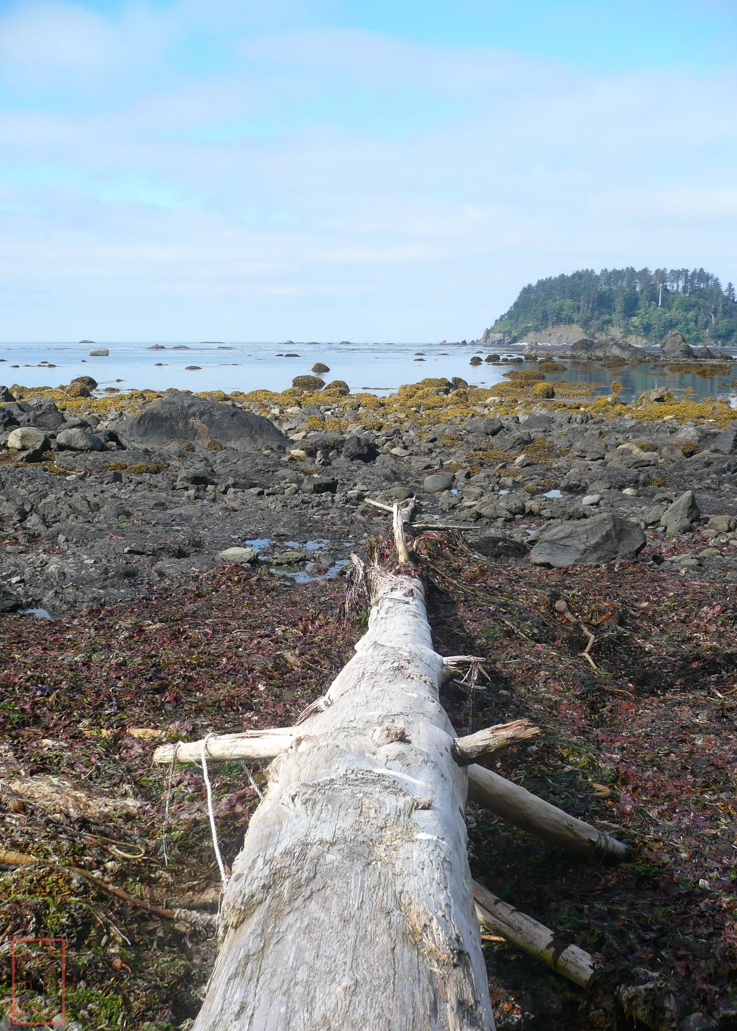 WA: Ozette Triangle