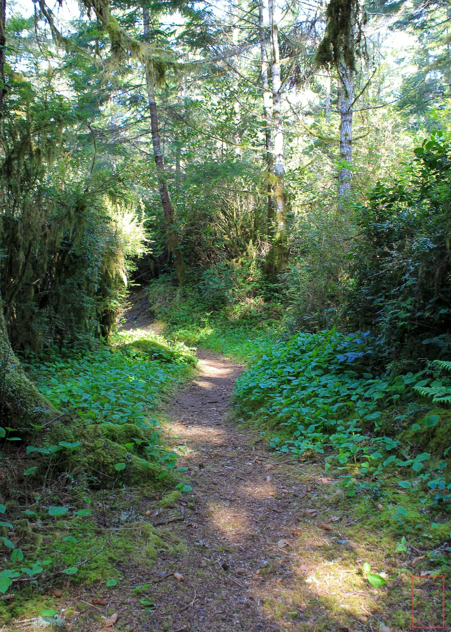 OR: Sutton Creek