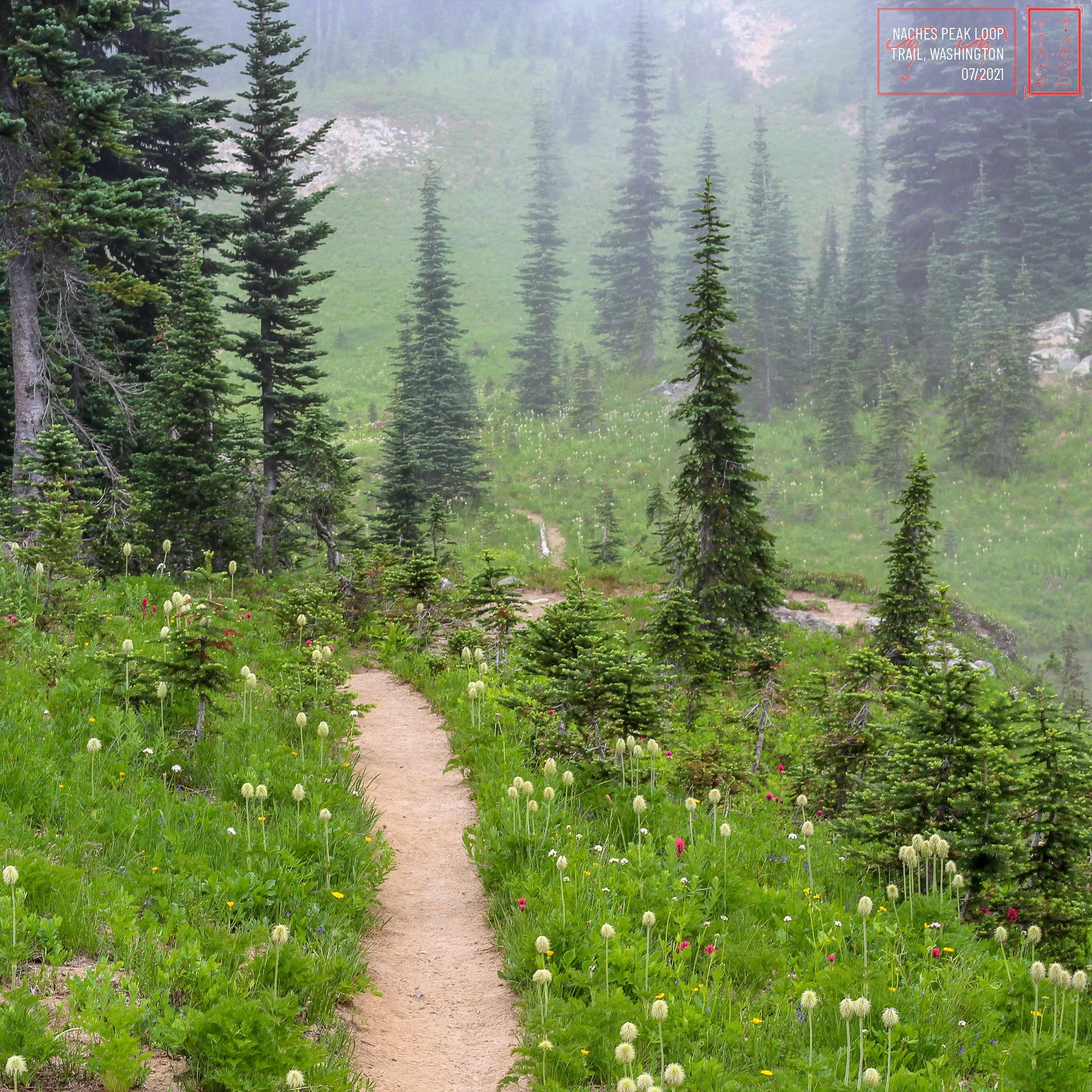 WA: Naches Peak Loop