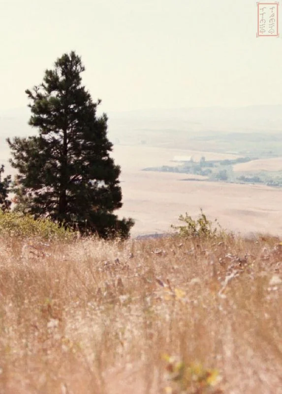 WA:  Kamiak Butte County Park