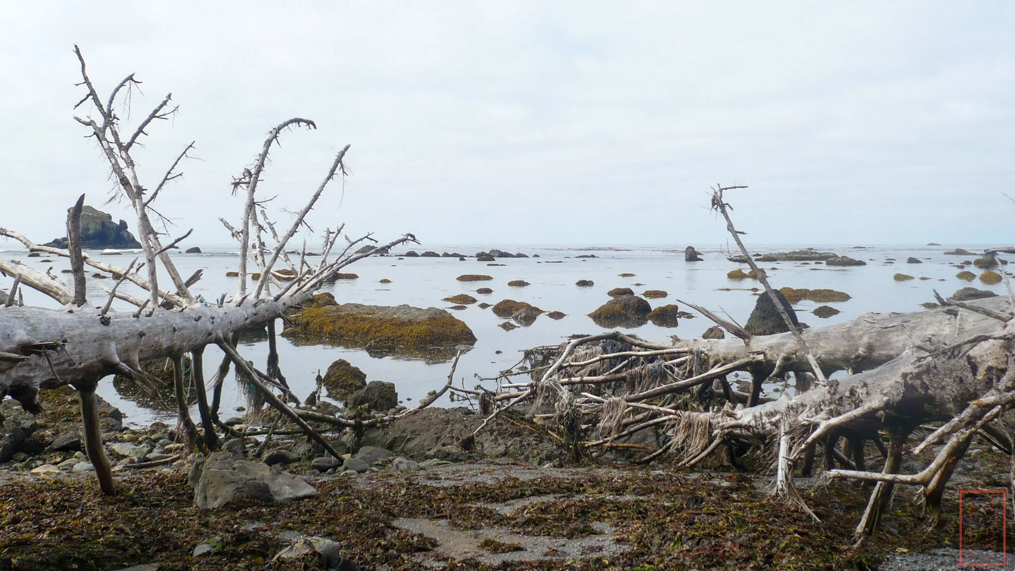 WA: Ozette Triangle