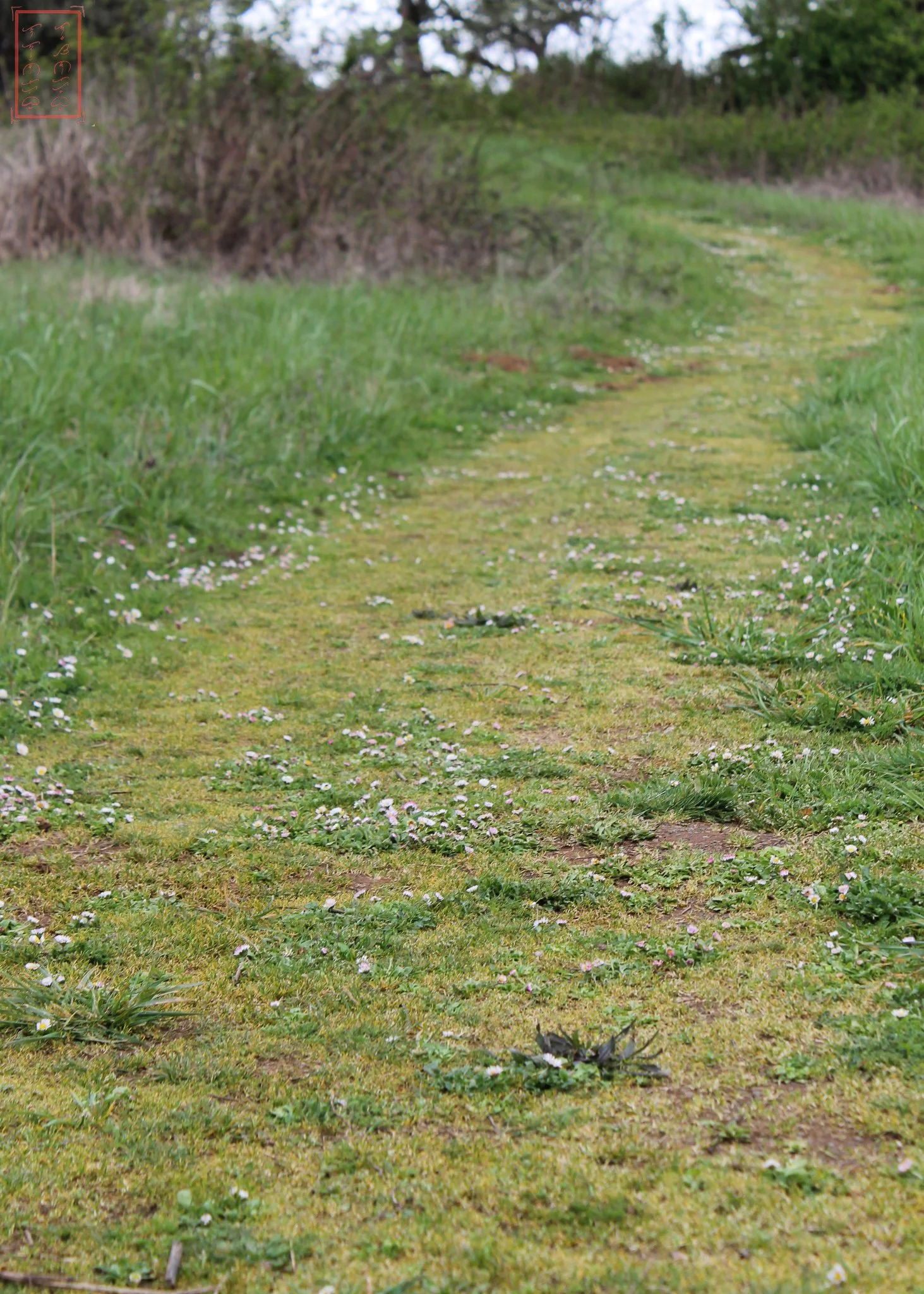OR: William L. Finley National Wildlife Refuge