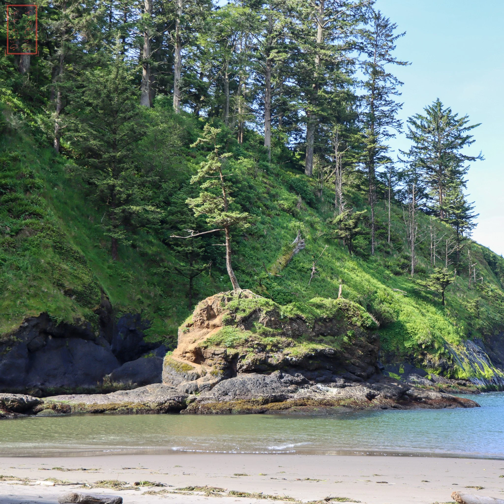 WA: Cape Disappointment