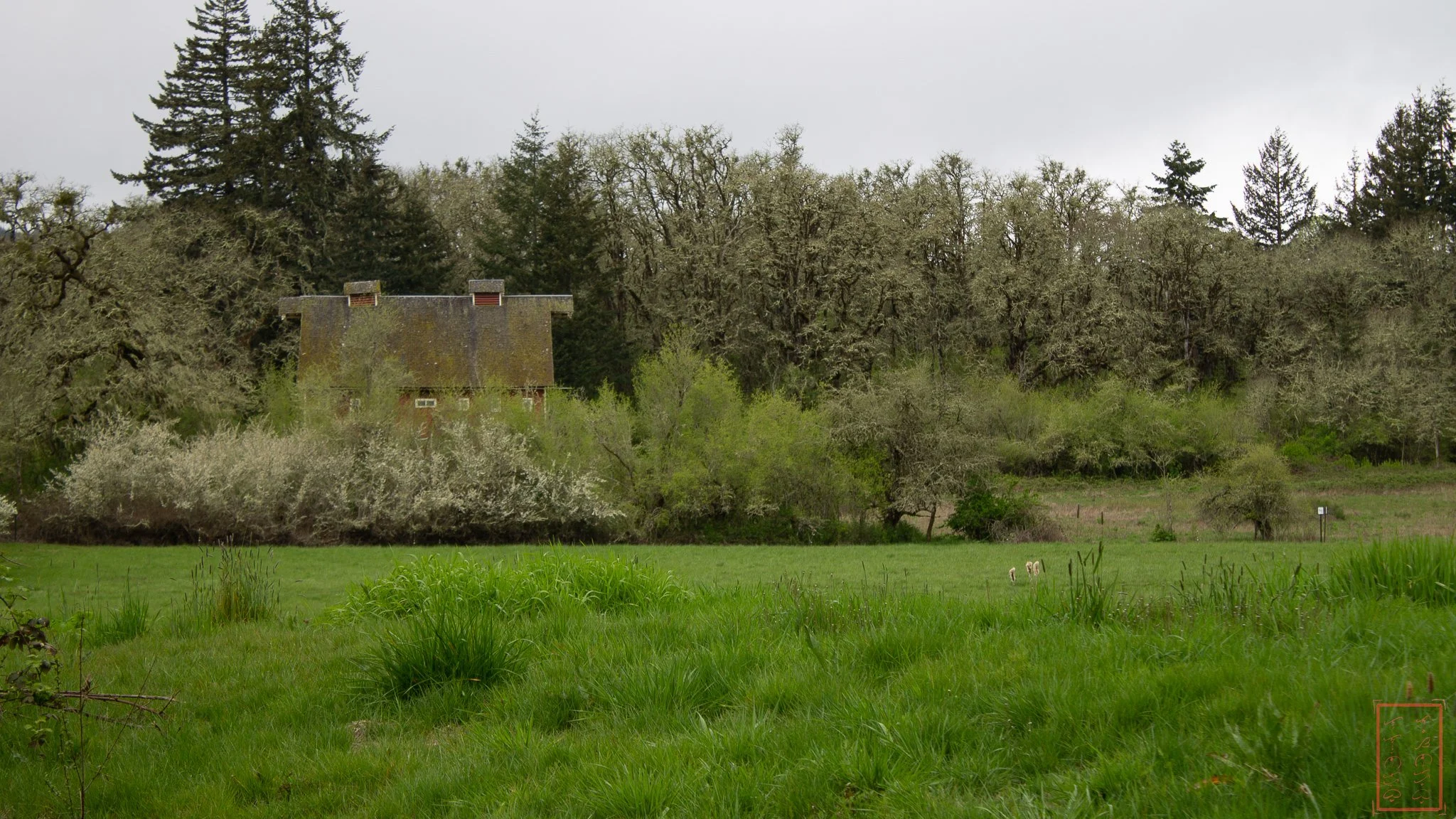 OR: William L. Finley National Wildlife Refuge