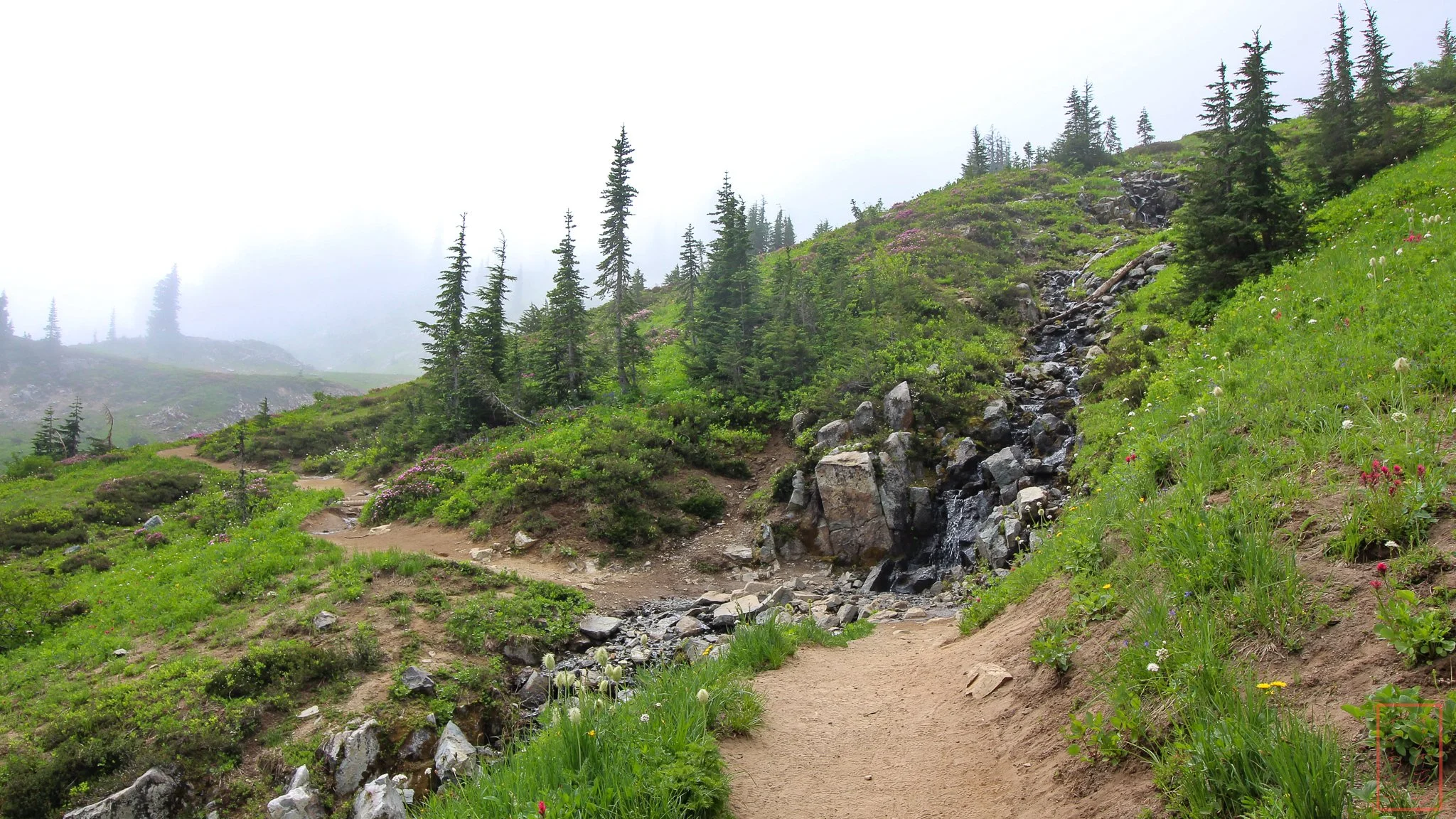 WA: Naches Peak Loop