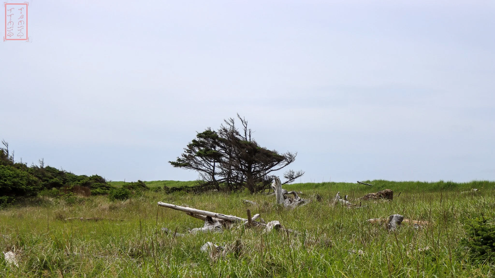 WA: Cape Disappointment