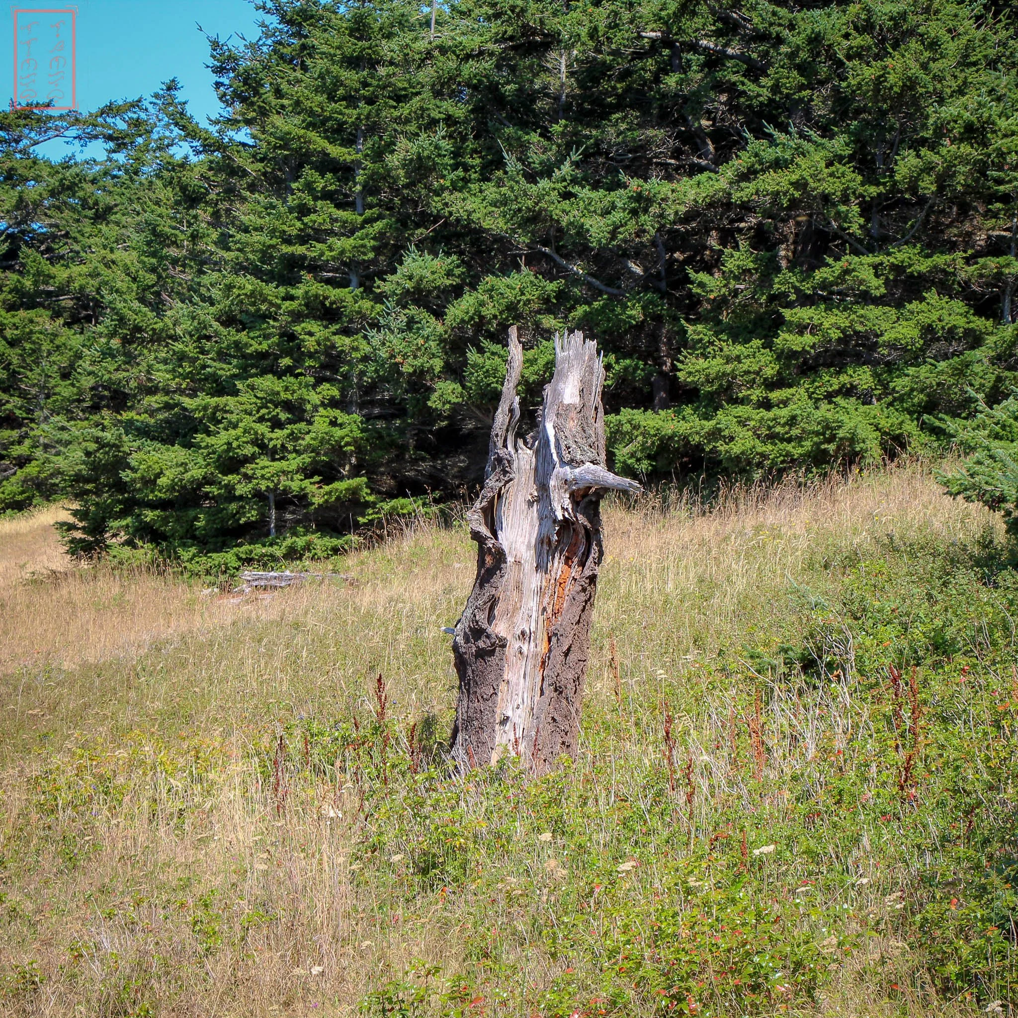 WA: Ebey's Landing