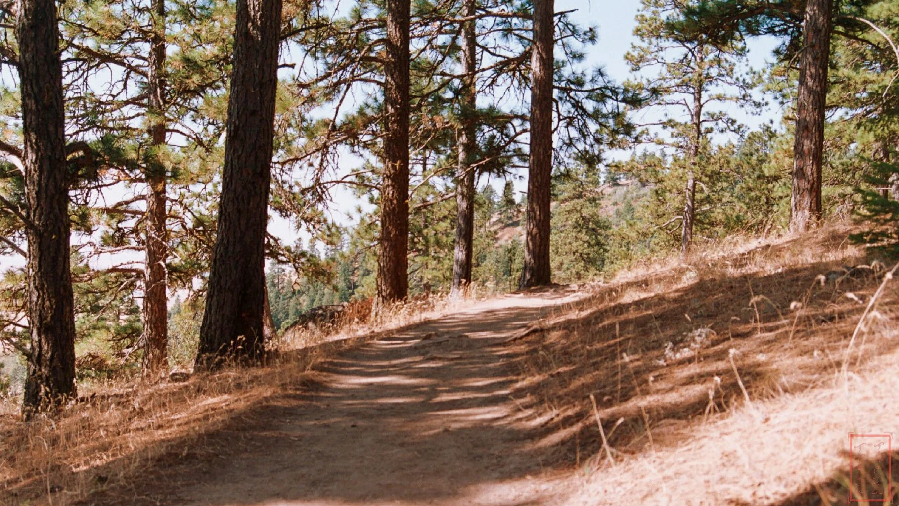 WA:  Kamiak Butte County Park