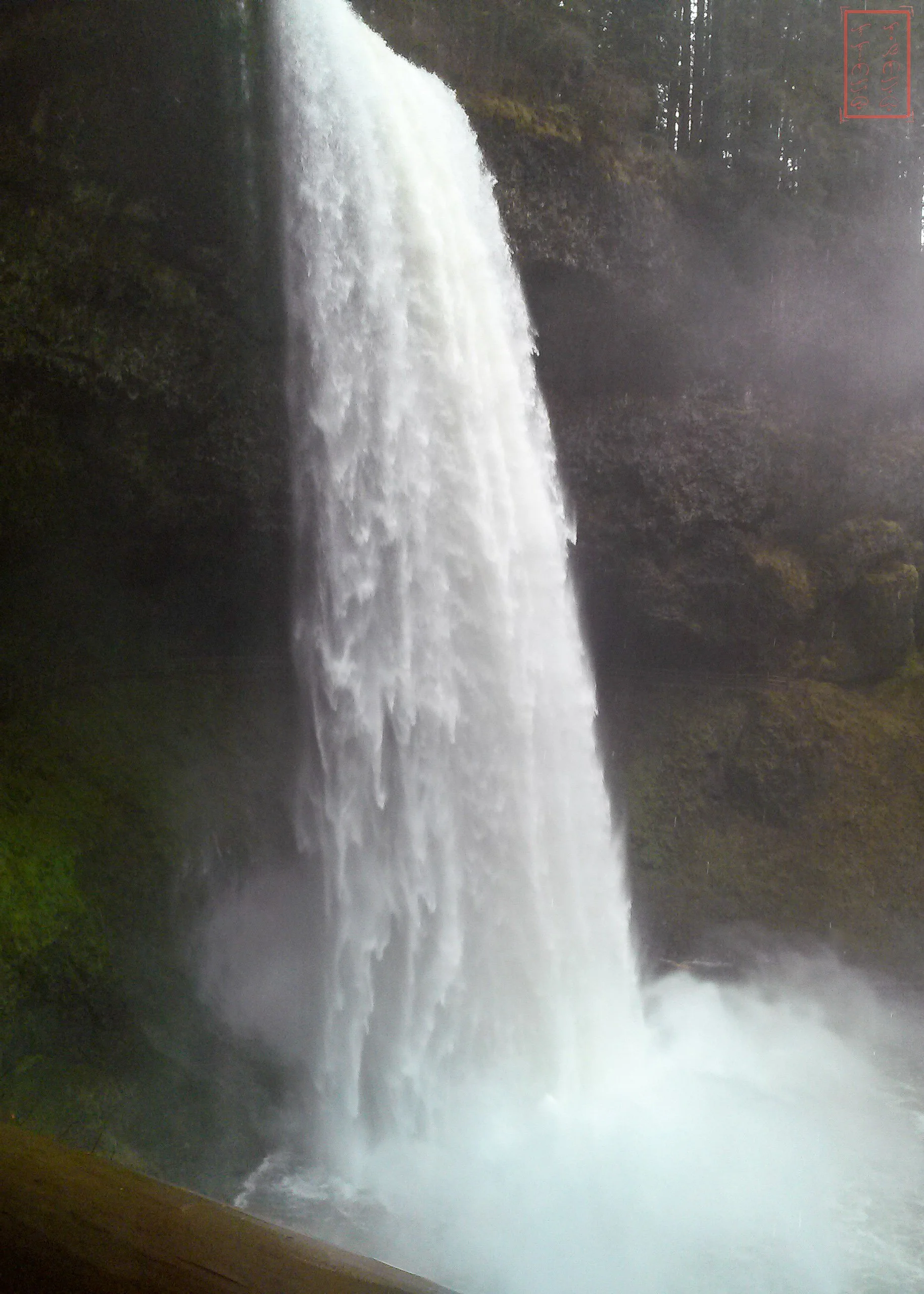 OR: Silver Falls