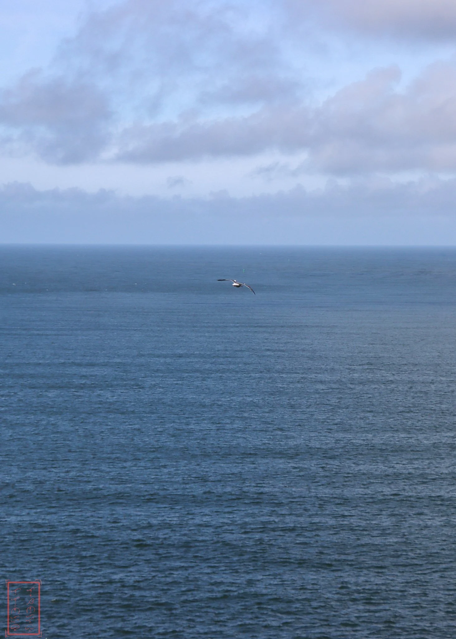 WA: Cape Disappointment
