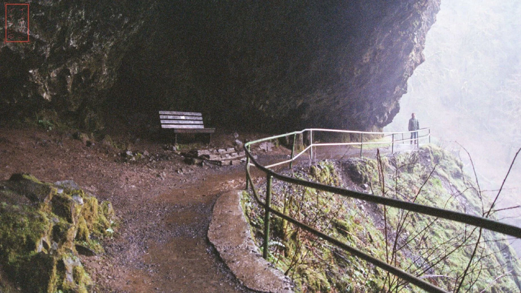OR: Silver Falls