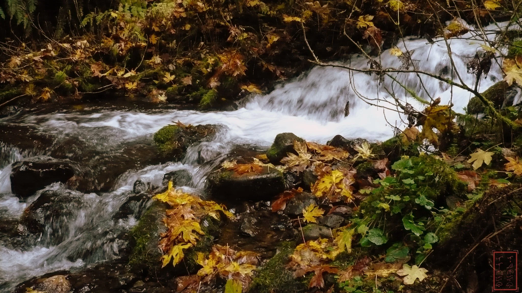 OR: Wahkeena Falls to Multnomah Falls
