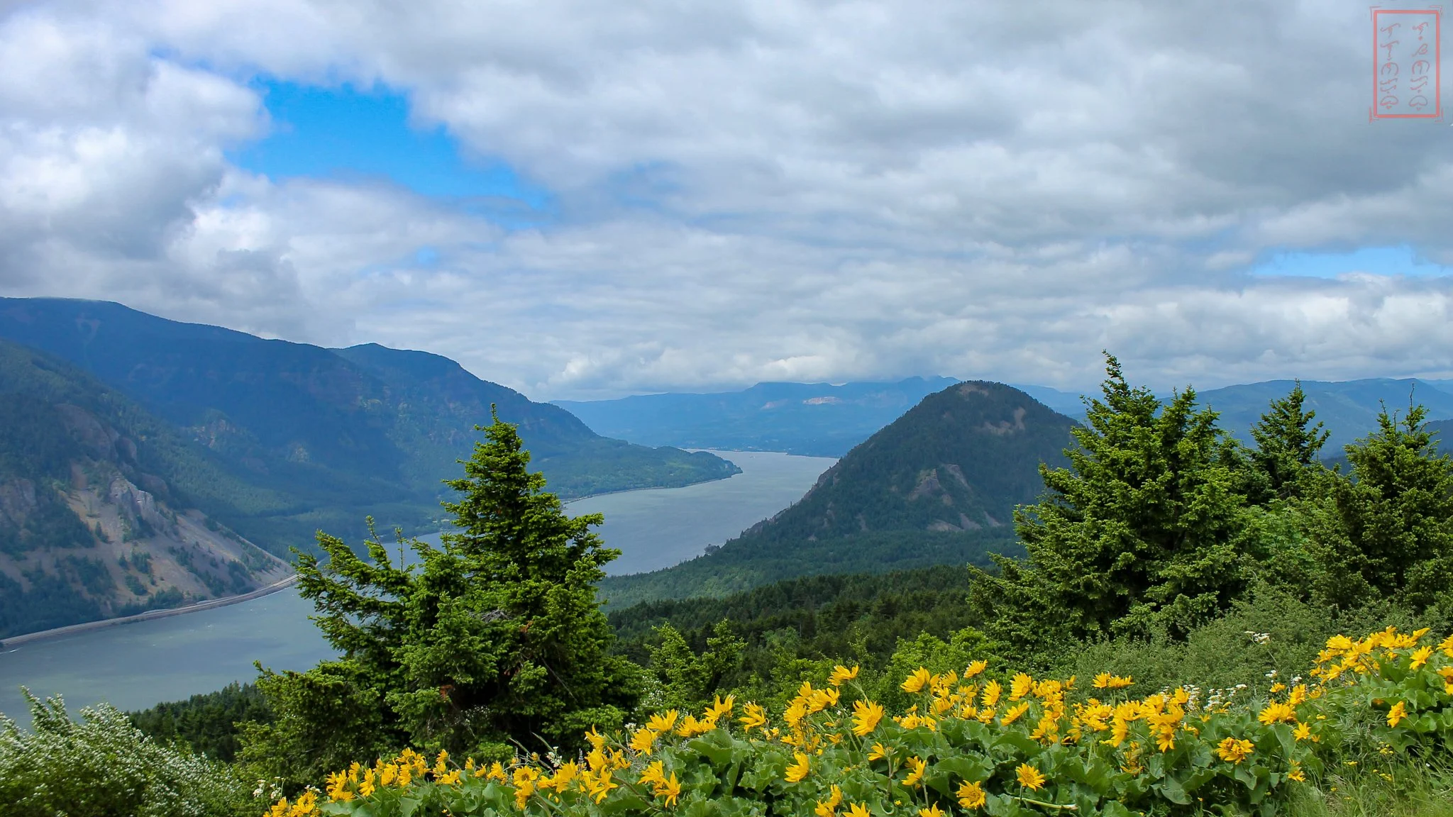 WA: Dog Mountain