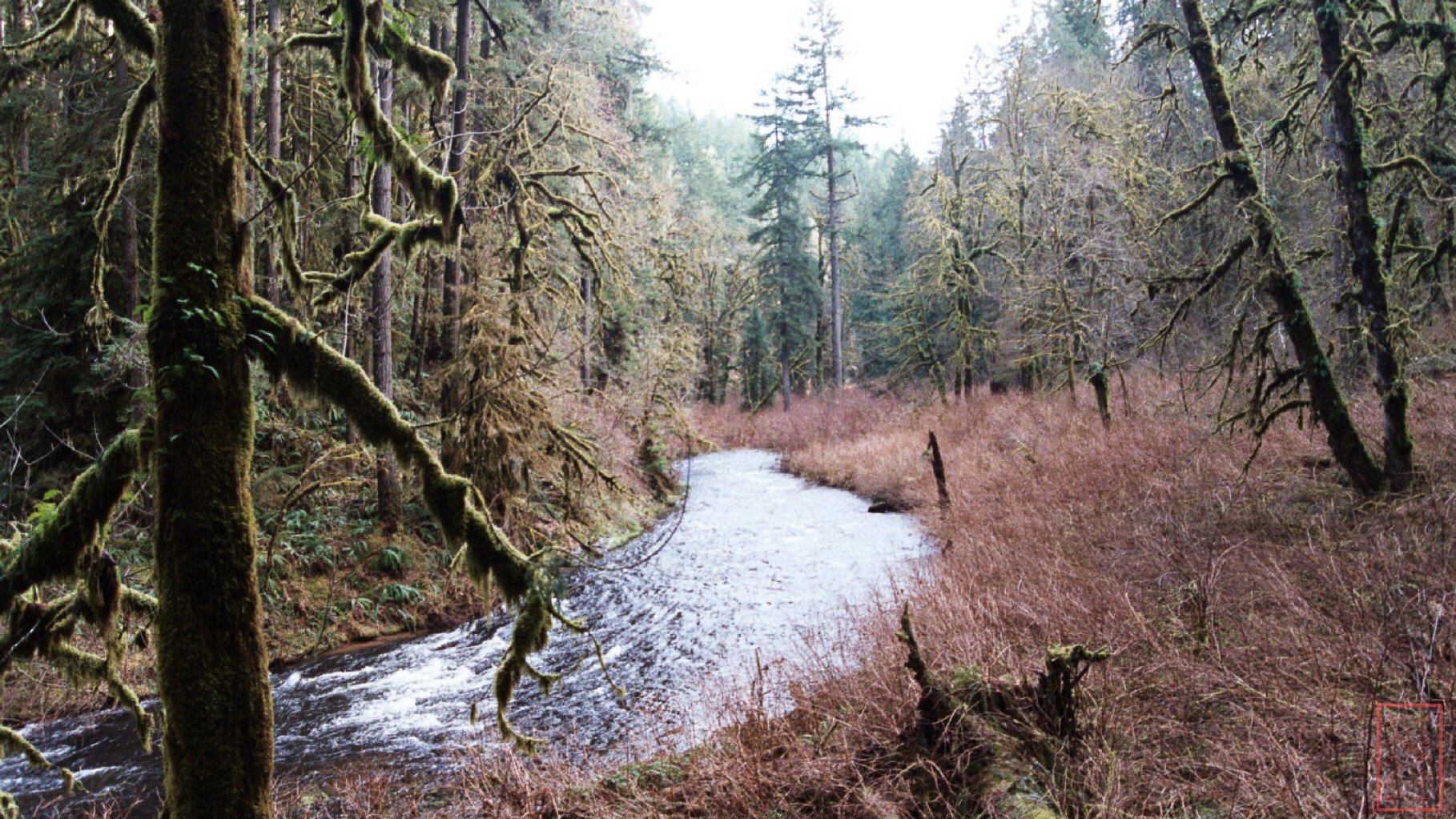 OR: Silver Falls