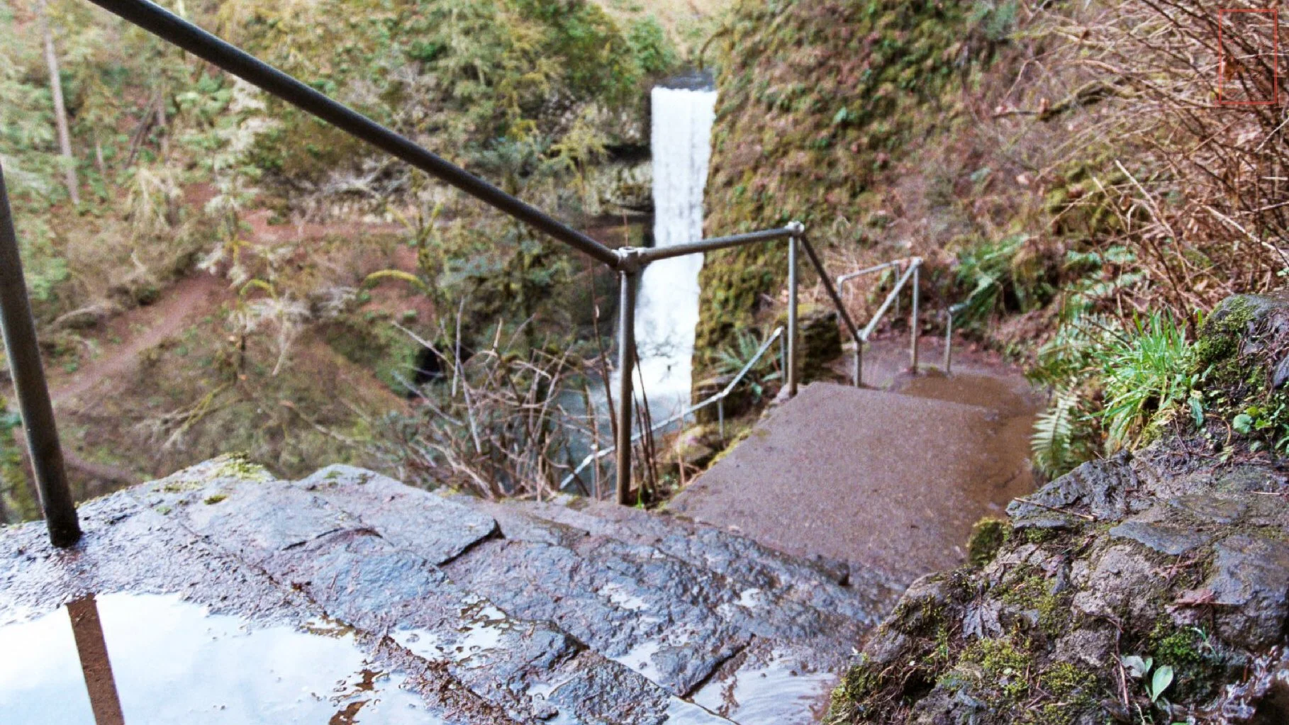 OR: Silver Falls