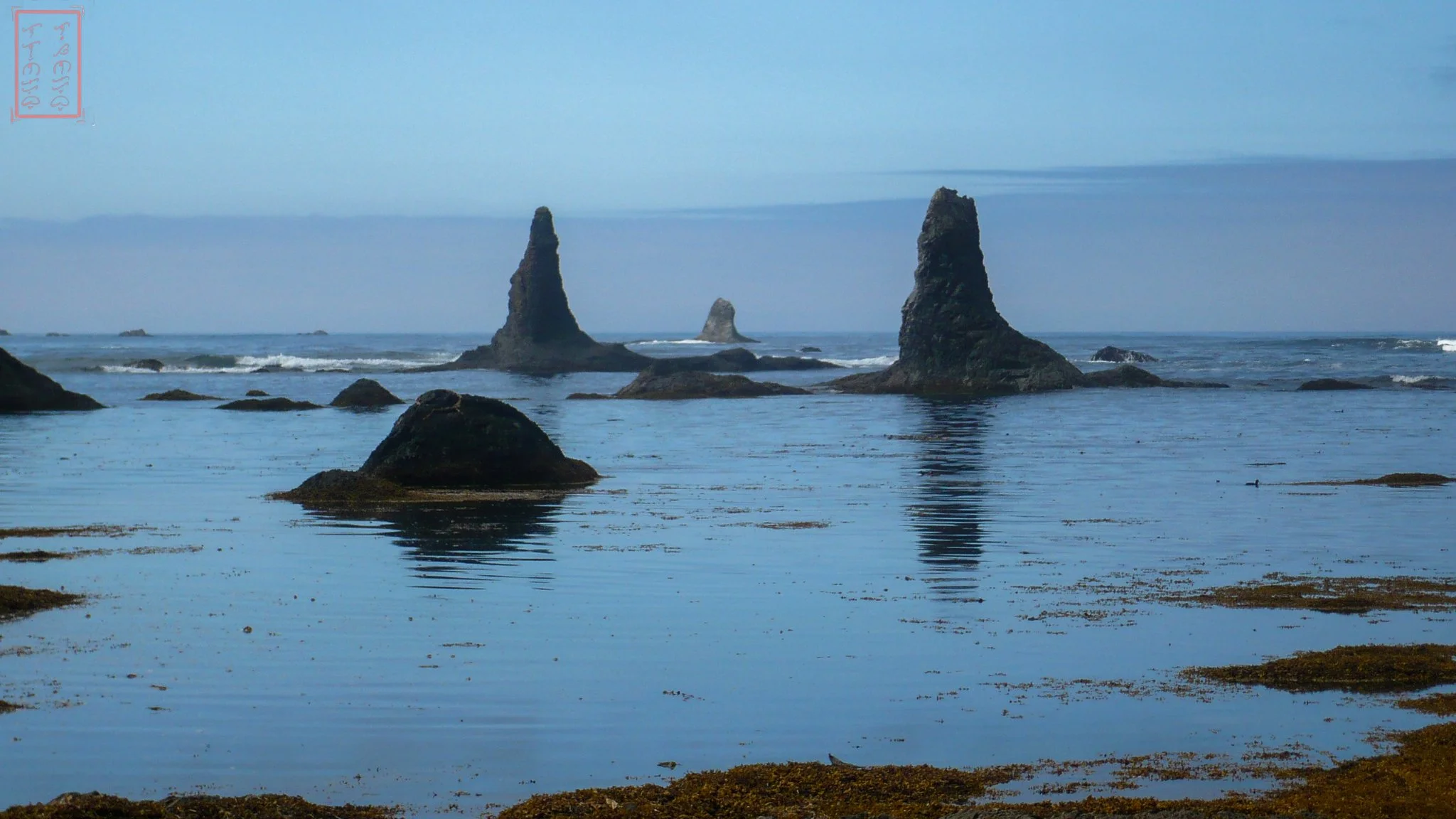 Coastal Lowlands - Washington