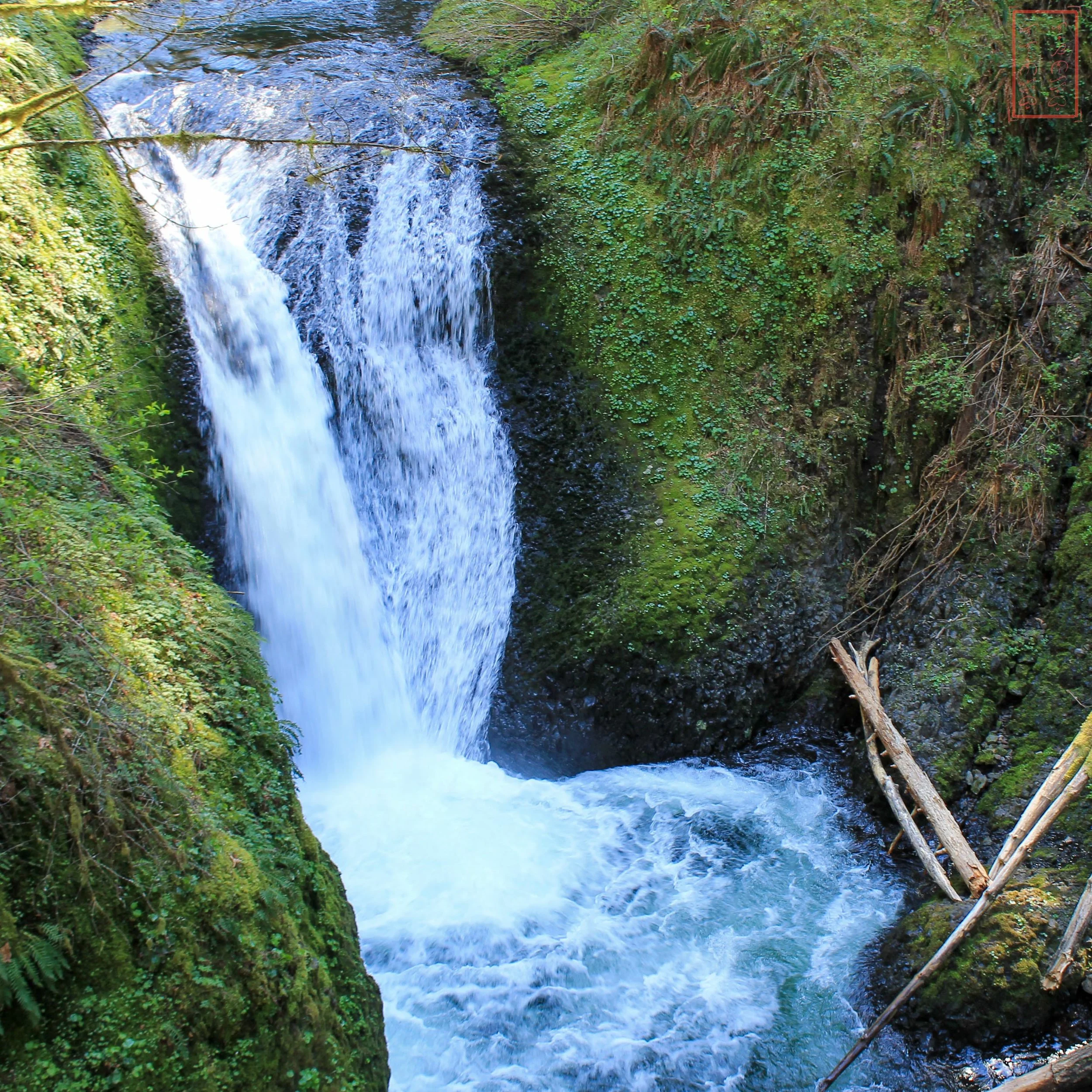 OR: Oneonta Gorge
