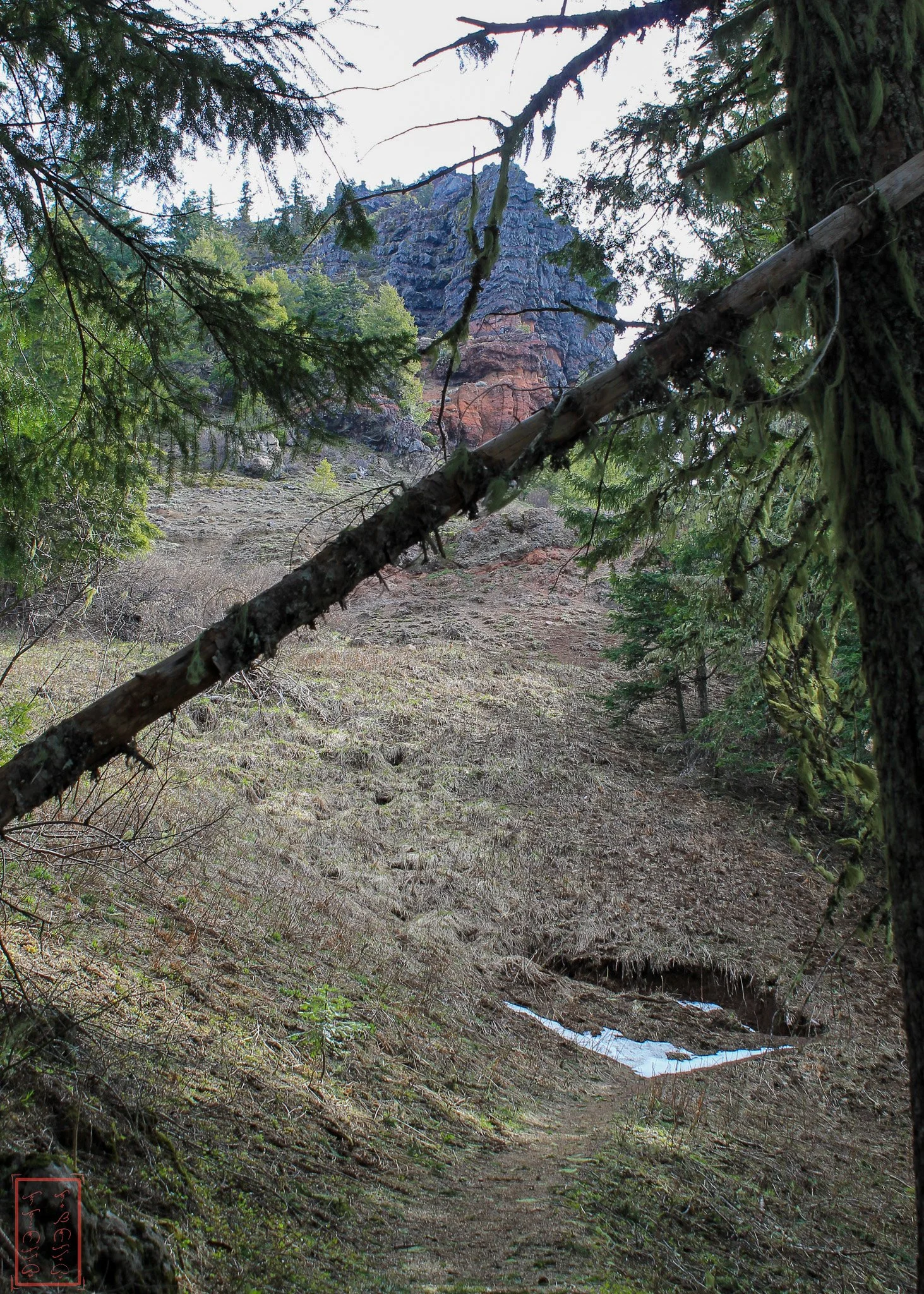 OR: Iron Mountain