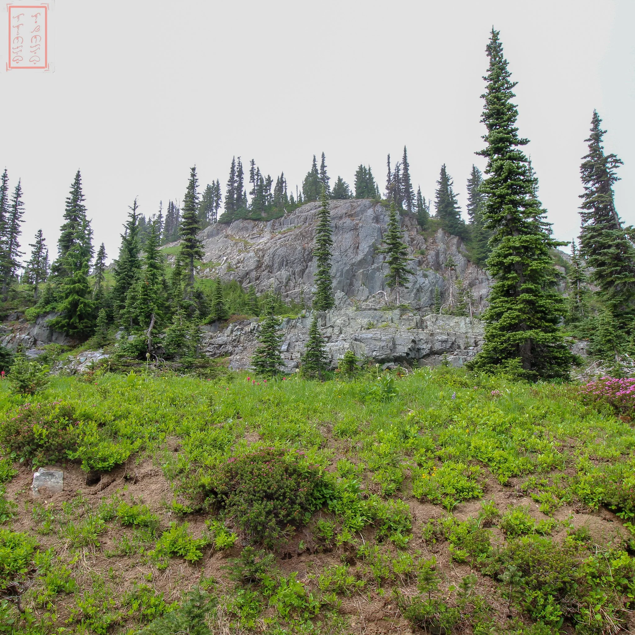 WA: Naches Peak Loop