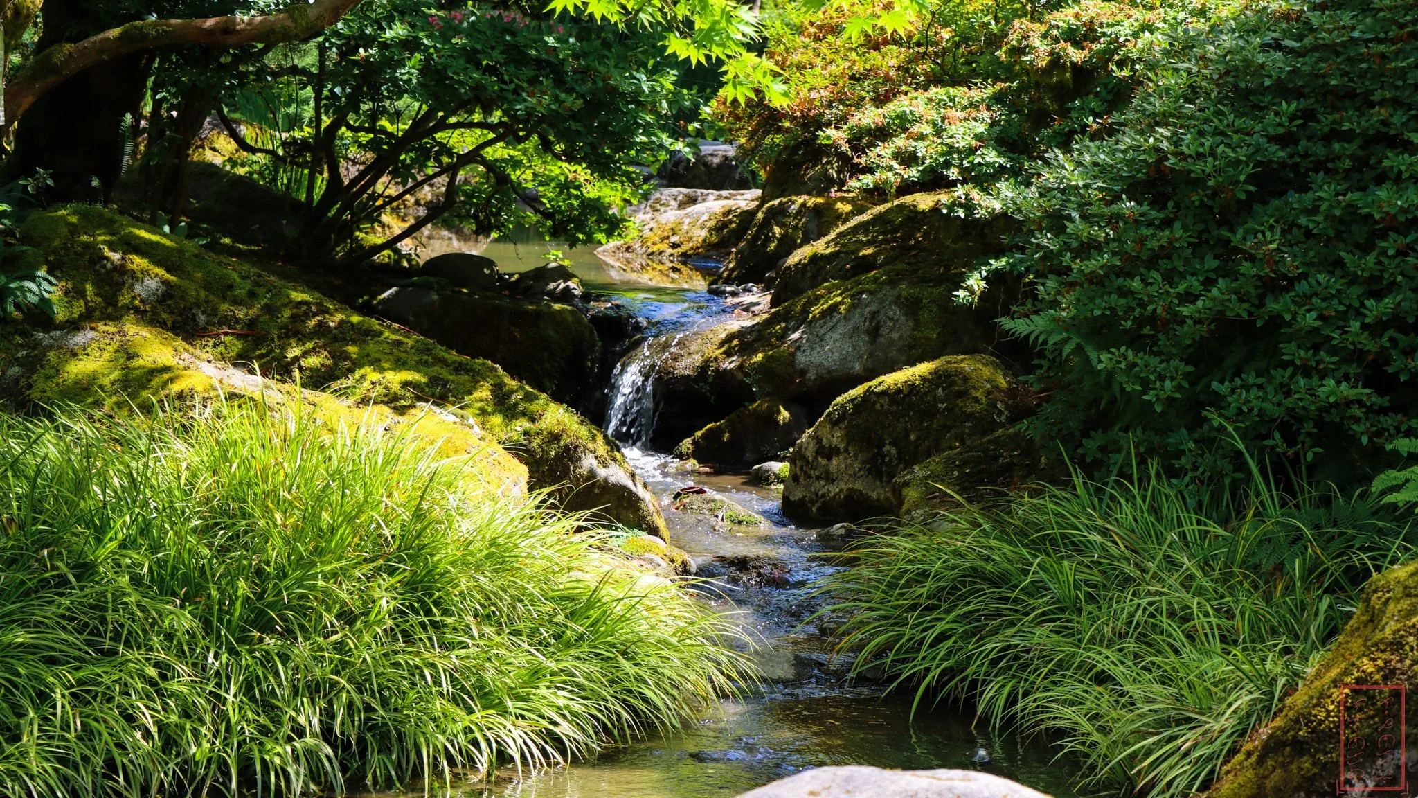 JapaneseGardens_16x9-7.jpg