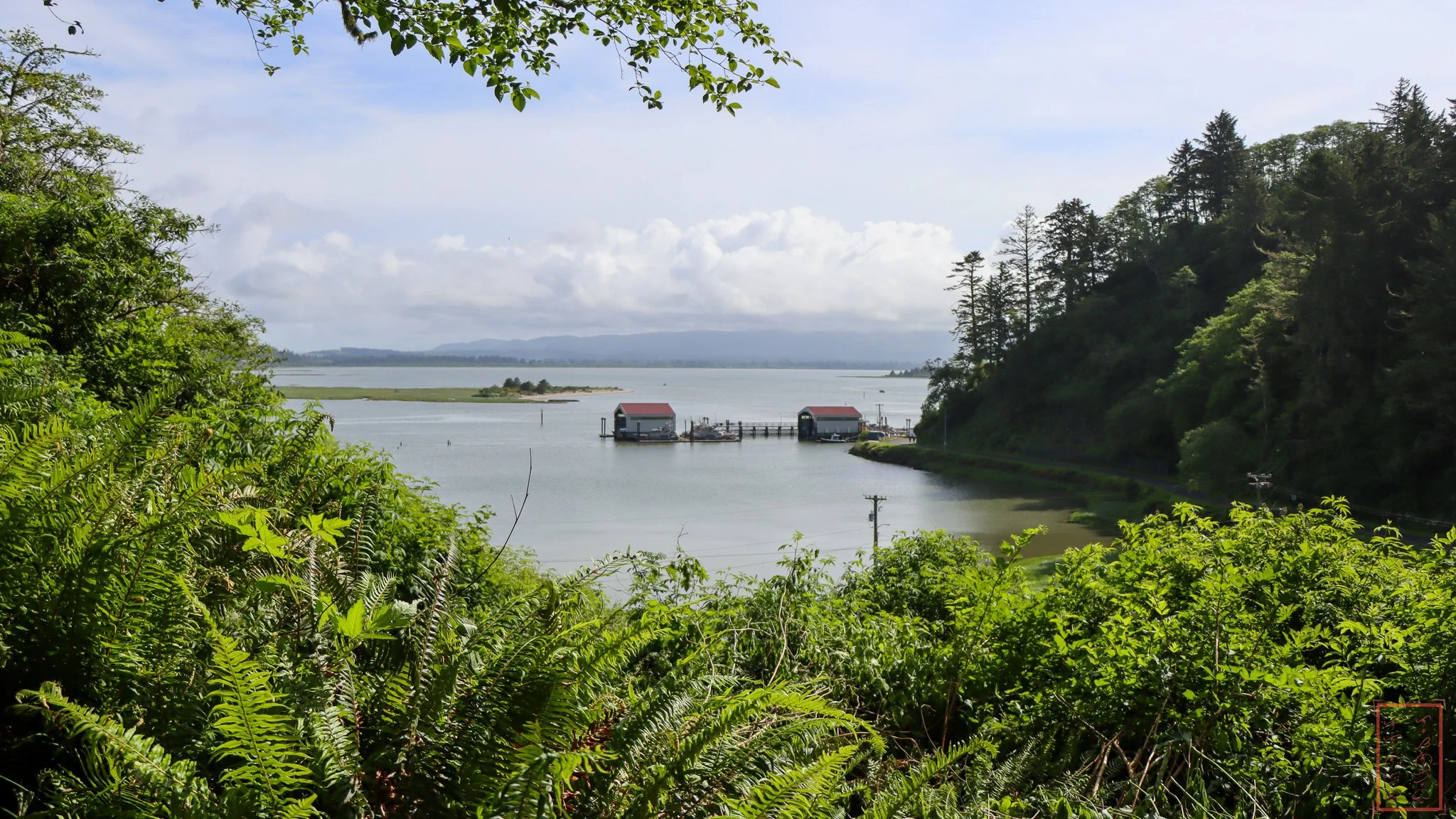 WA: Cape Disappointment