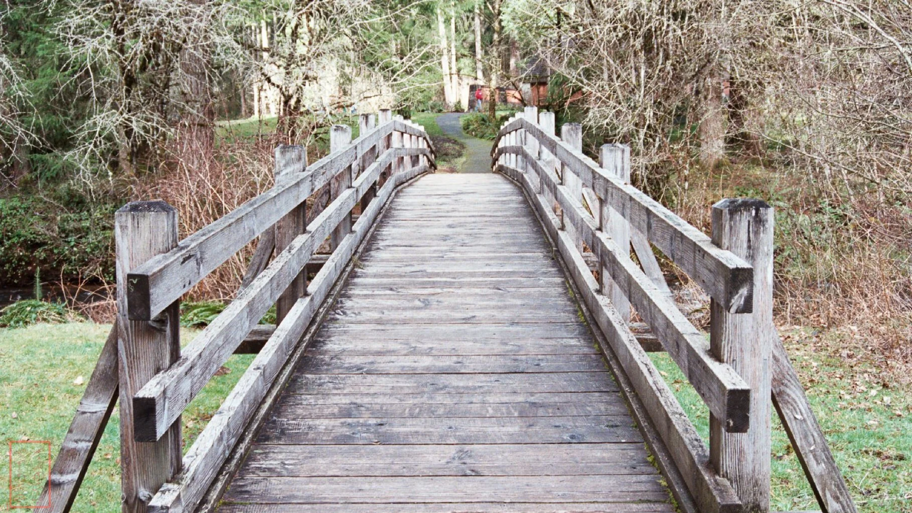 OR: Silver Falls