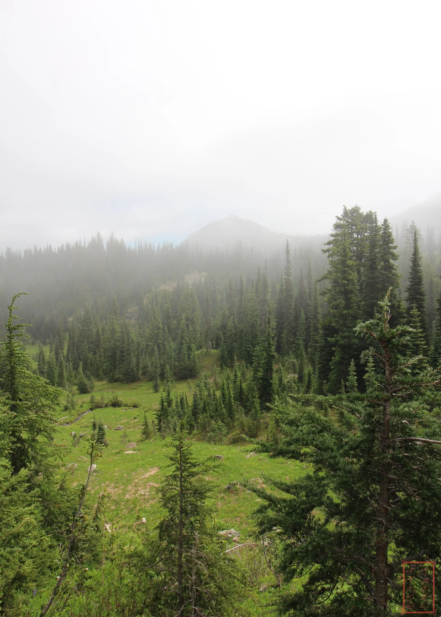 WA: Naches Peak Loop